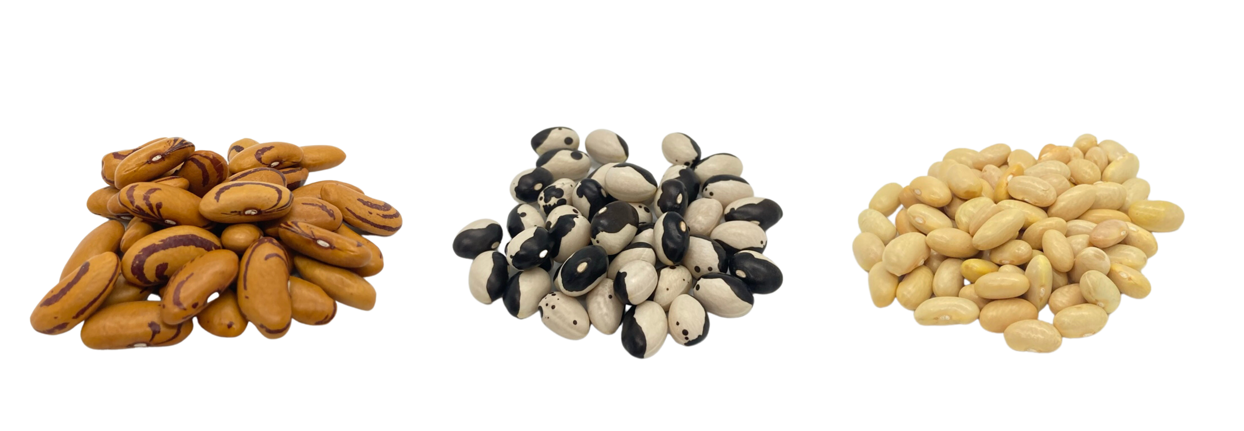 Sheridan Acres Heirloom Dry Beans
