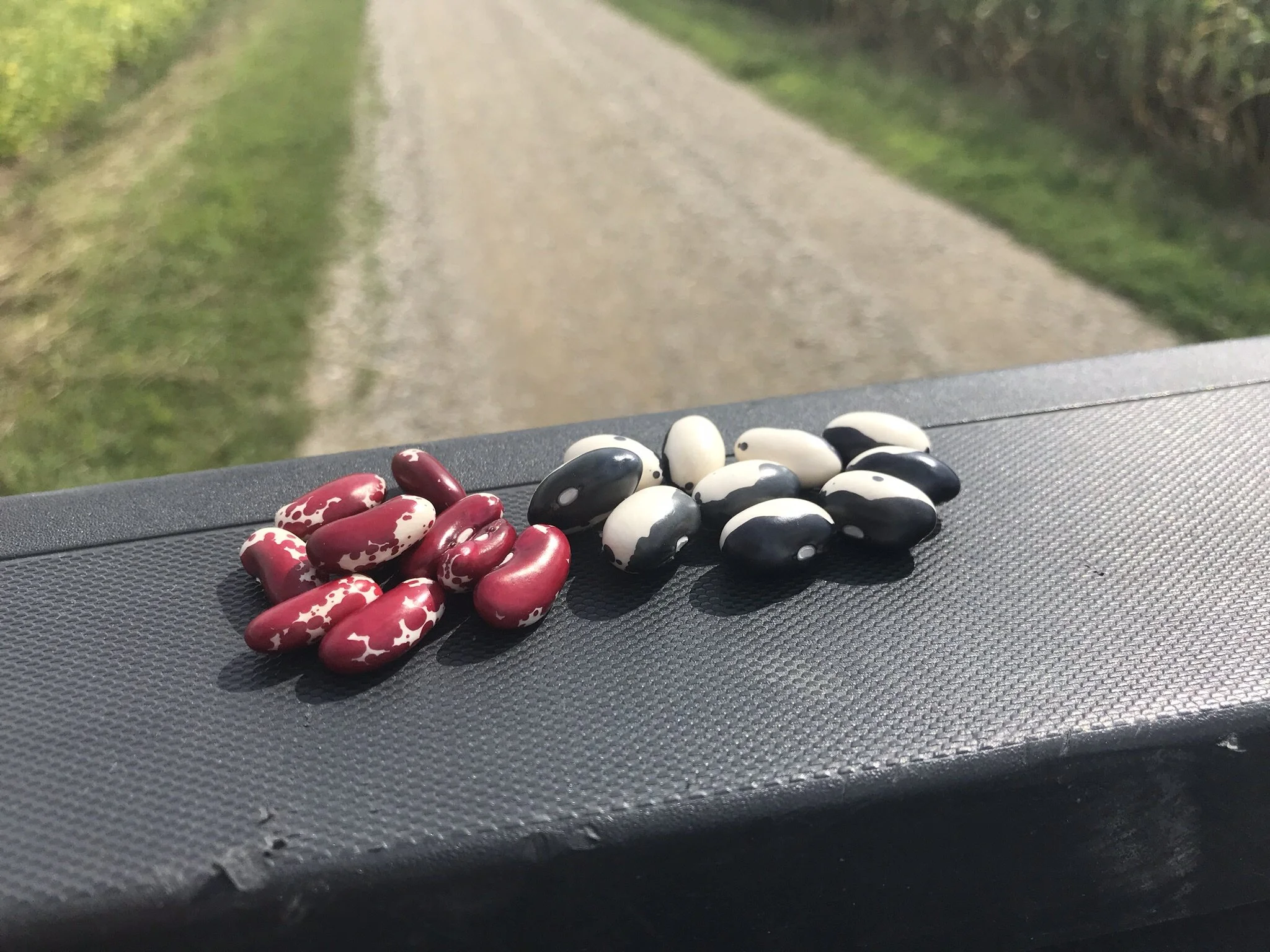 Sheridan Acres Heirloom Dry Beans