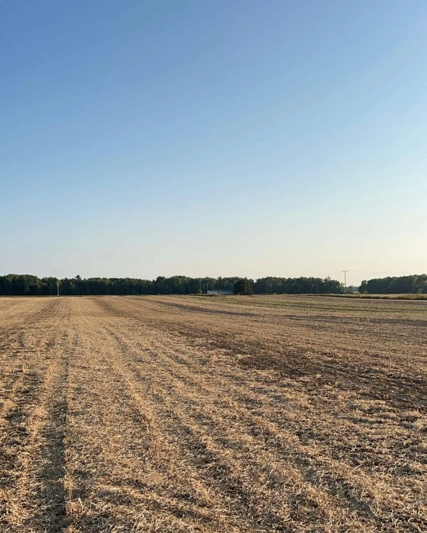 After 6 days of harvest, we’re finished with field work for our biggest crop ever. Now our attention turns to cleaning beans and getting ready for restaurant and web orders. New beans coming soon! 
#eatmorebeans #michiganbeans #heirloombeans #