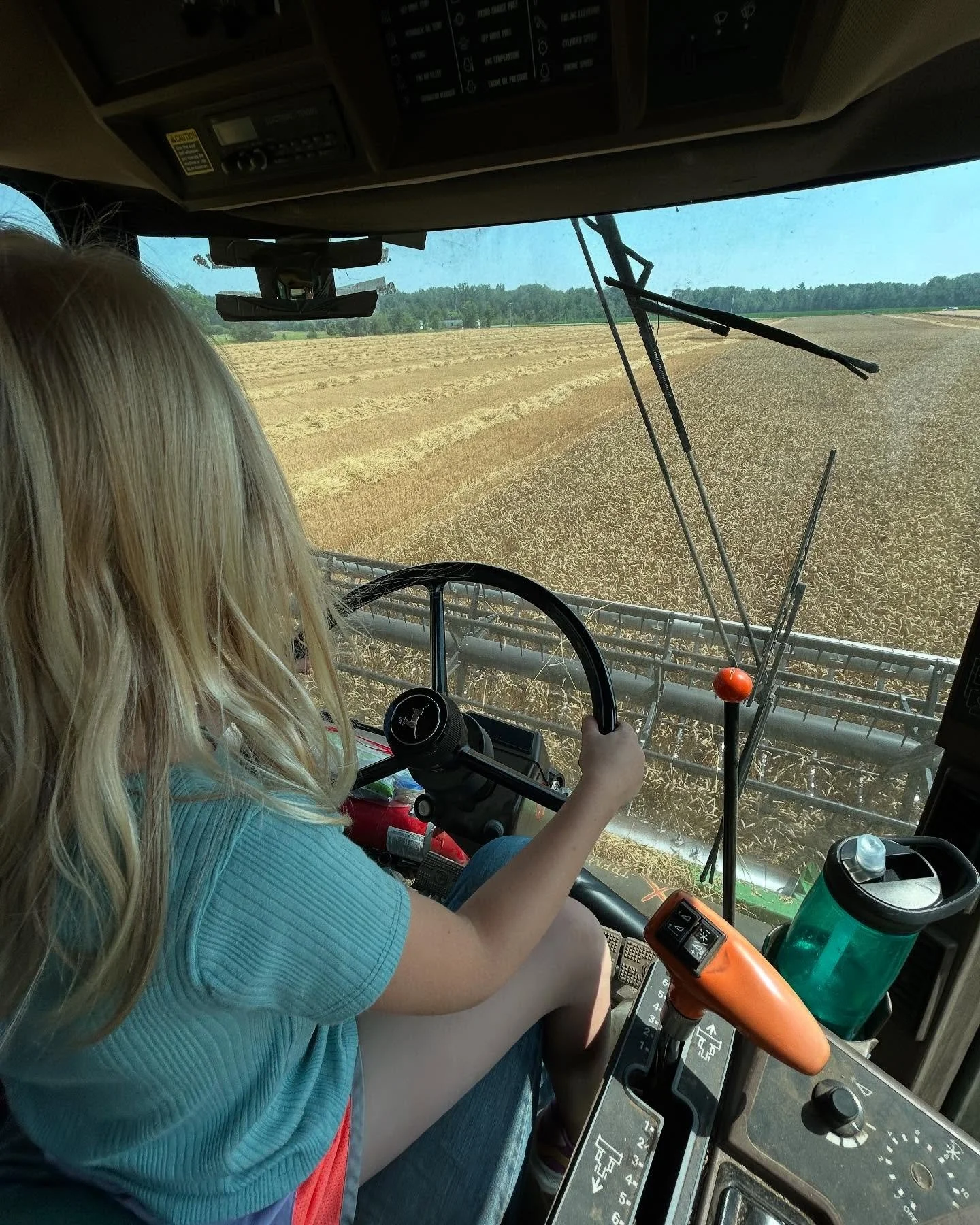 Our bean content has been severely lacking lately while we’ve been preoccupied with wheat. No worries, they are looking great and will return later this week.
