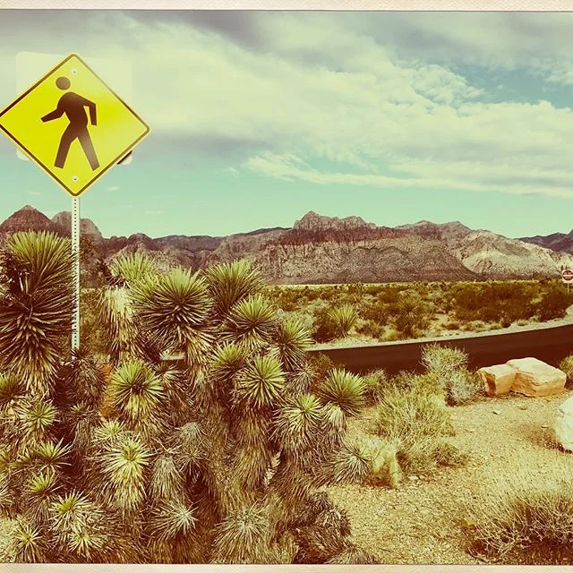 Hike through Red Rock Canyon, Mojave Desert, NV

#3 in 2018