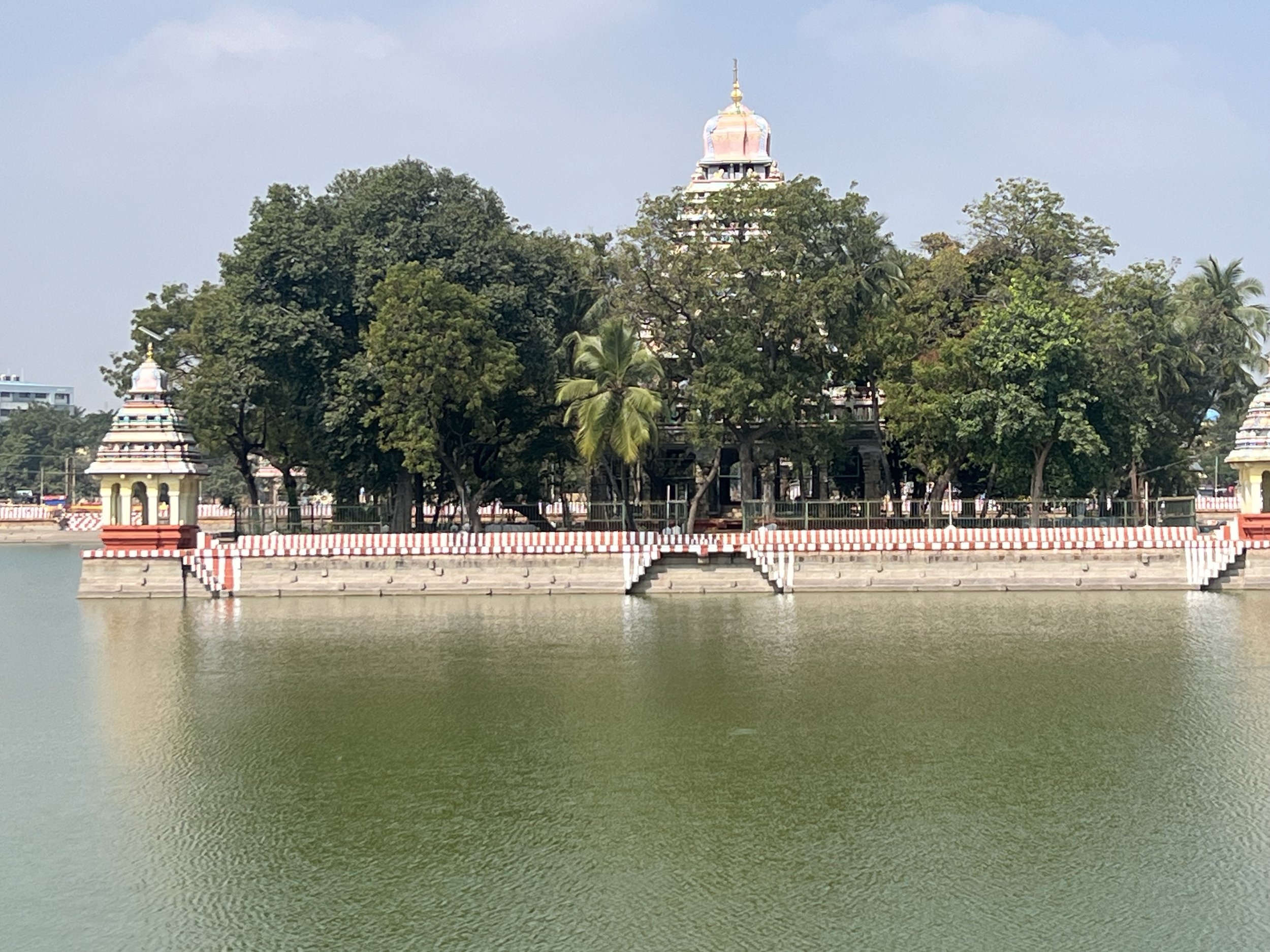 IMG_7255.jpeg