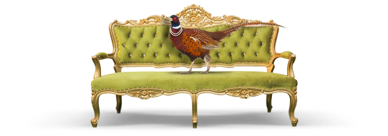 pheasant-sofa.jpg