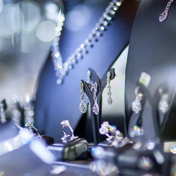 FEATURE FOR THE PROFESSIONAL JEWELLER