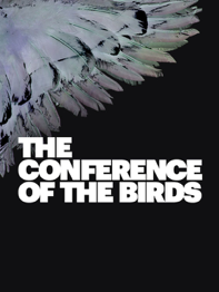 birds.png