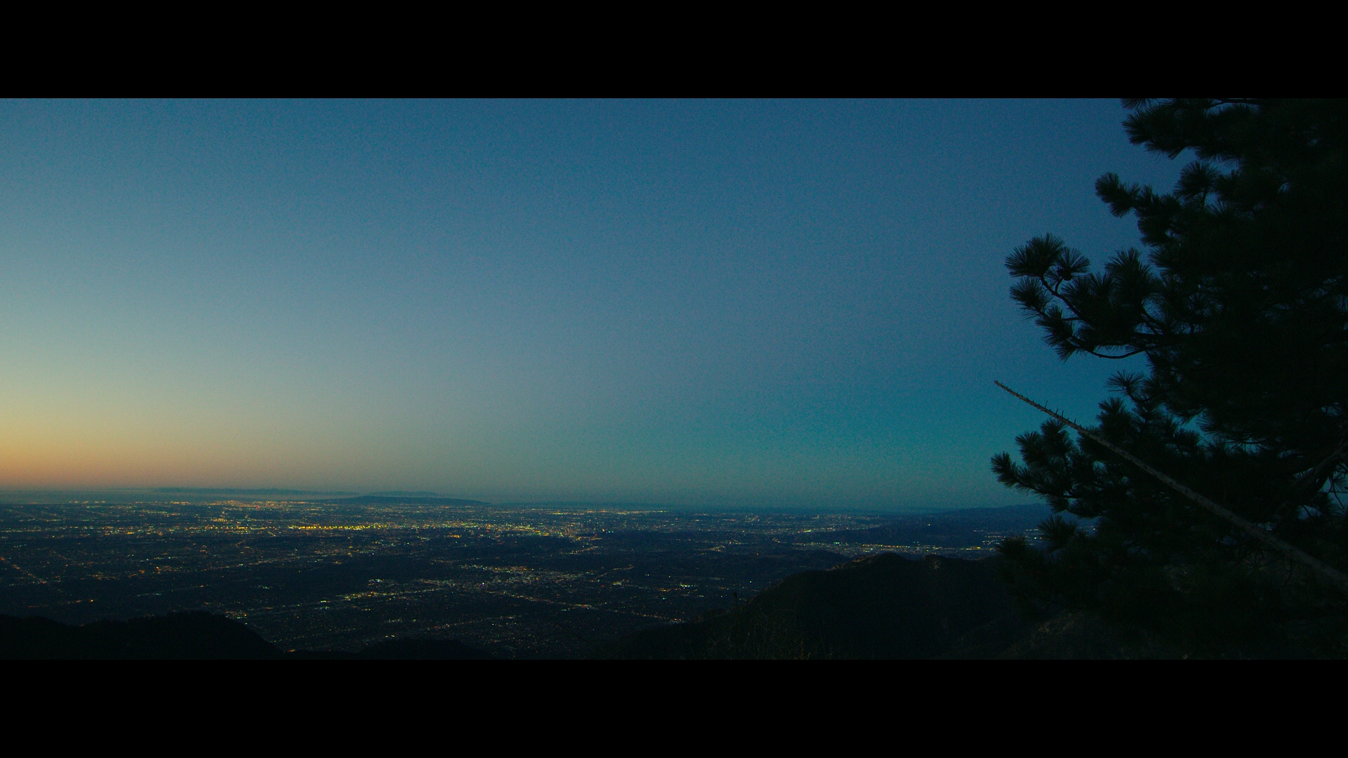 Taken from Nightcrawler