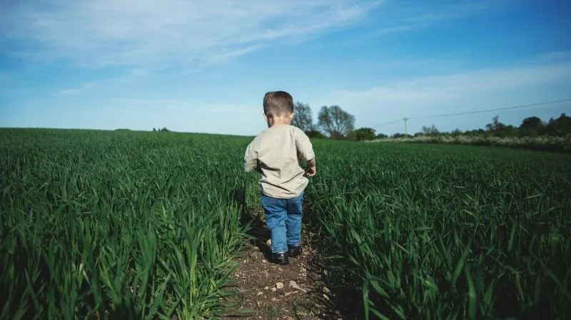 News March 13 2026.jpg