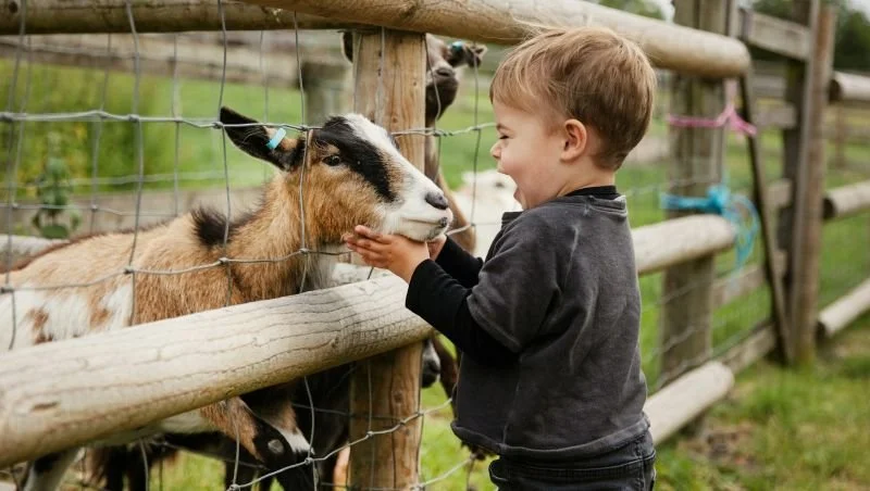 News February 13 2026.jpg