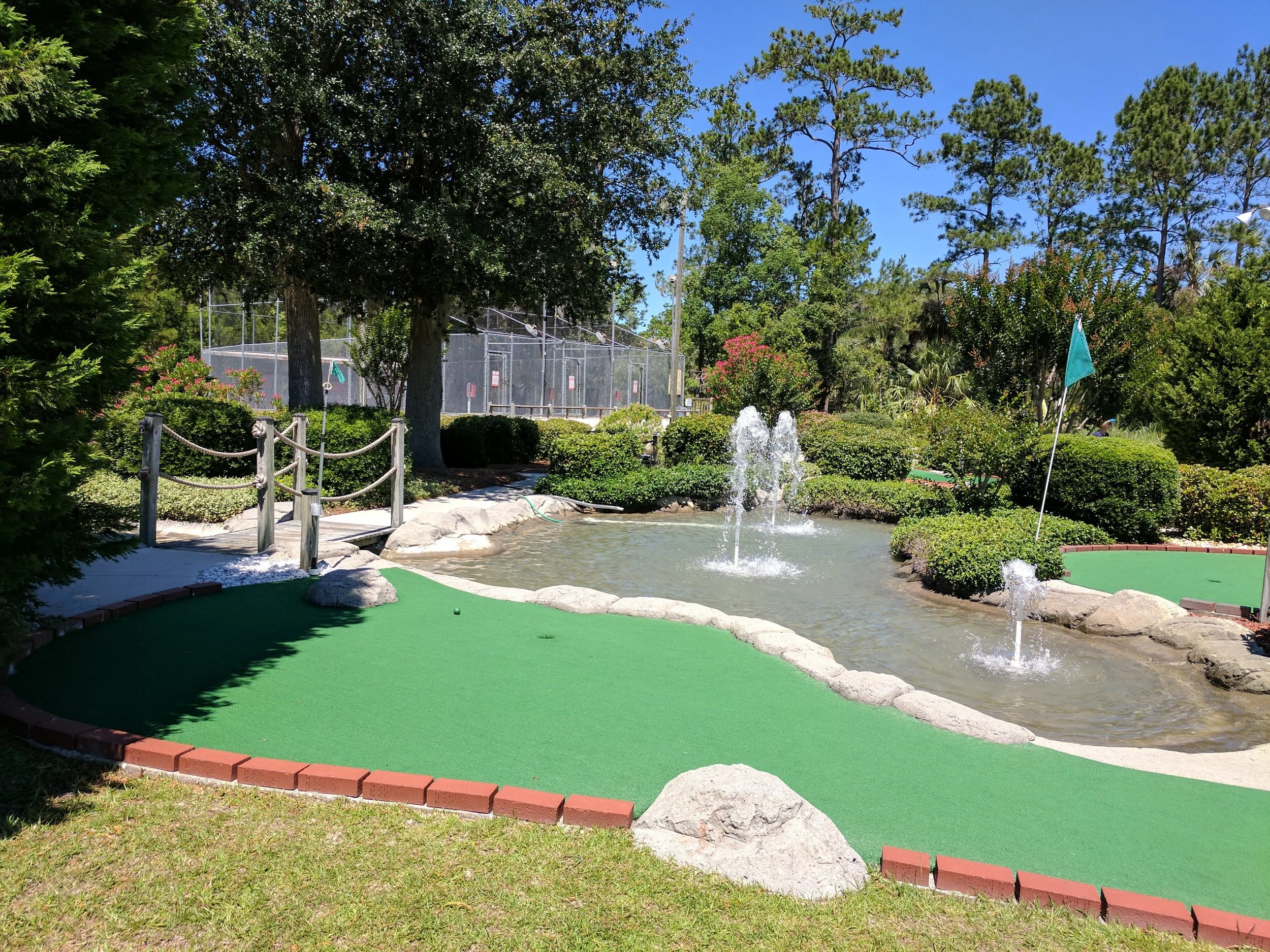 IMG_20170526_115833.jpg