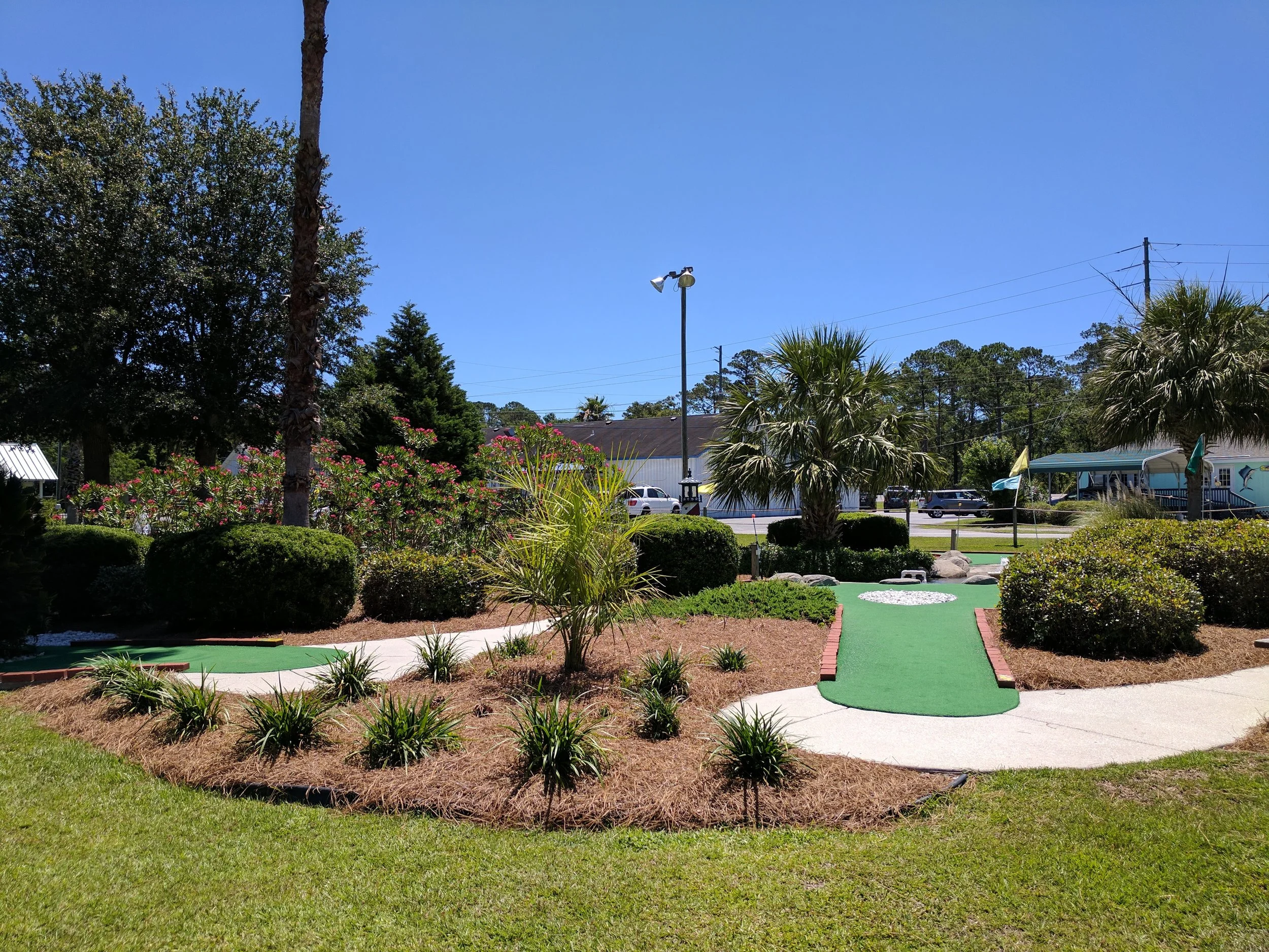 IMG_20170526_115951.jpg