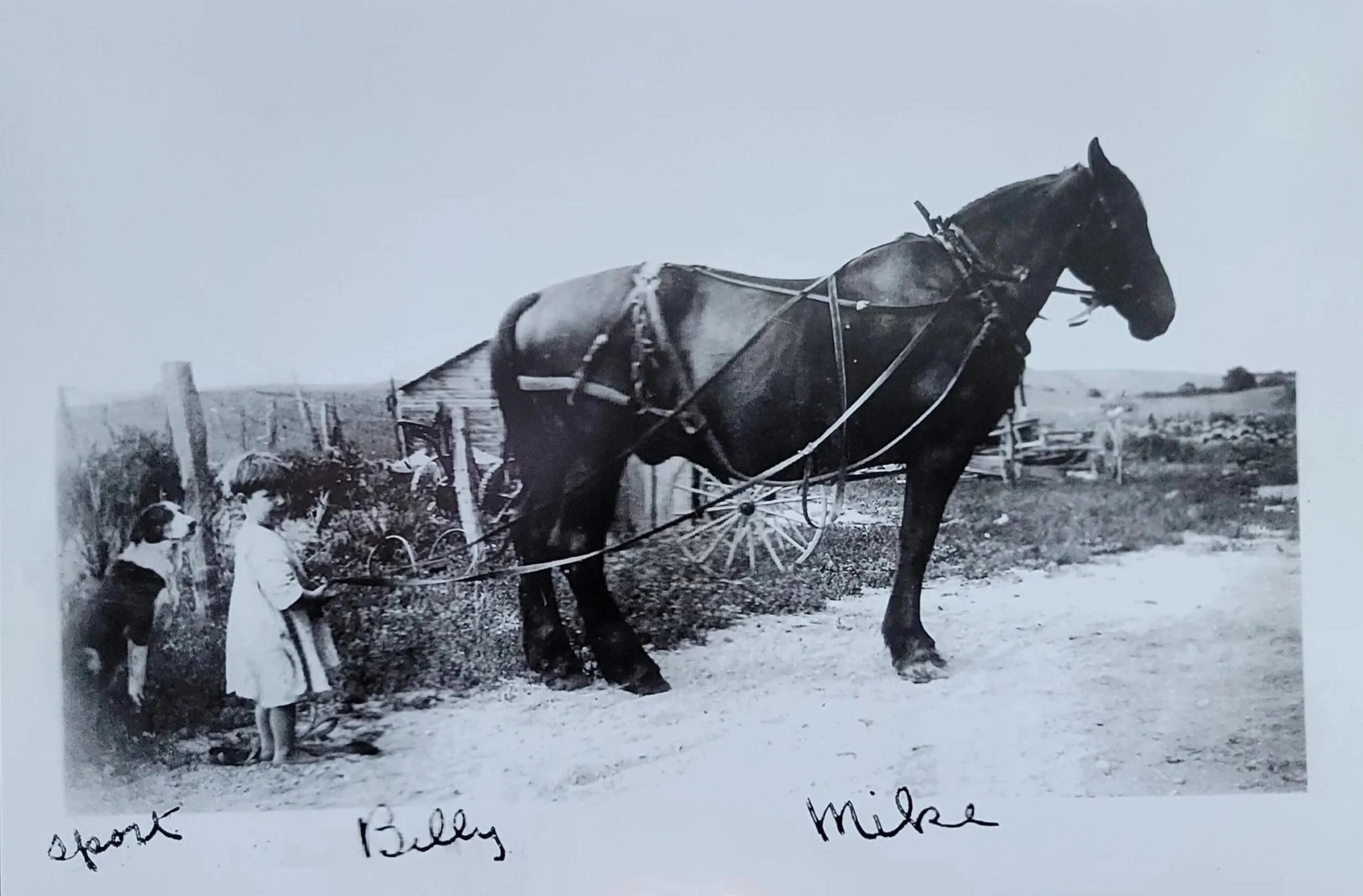 May '26 Registration Link for FHBA: The History of the Bos Family & Farm, from 1890 to 2026