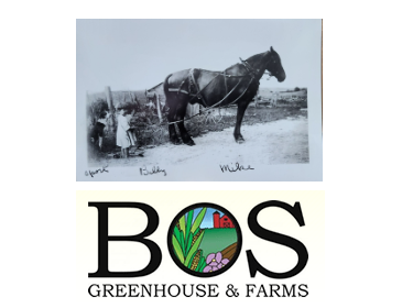 Screenshot 2026-02-11 084744.png