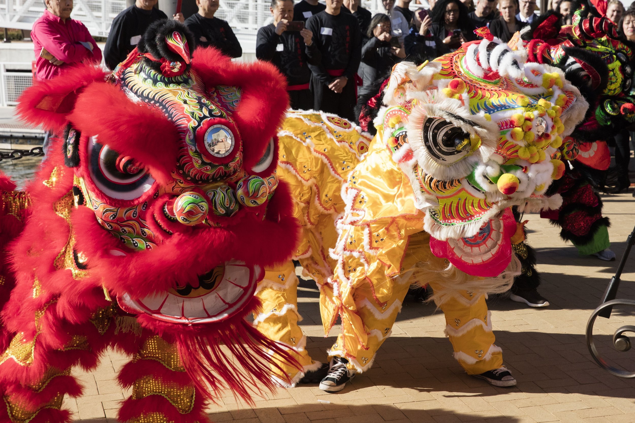 Chinese New Year-17.jpg