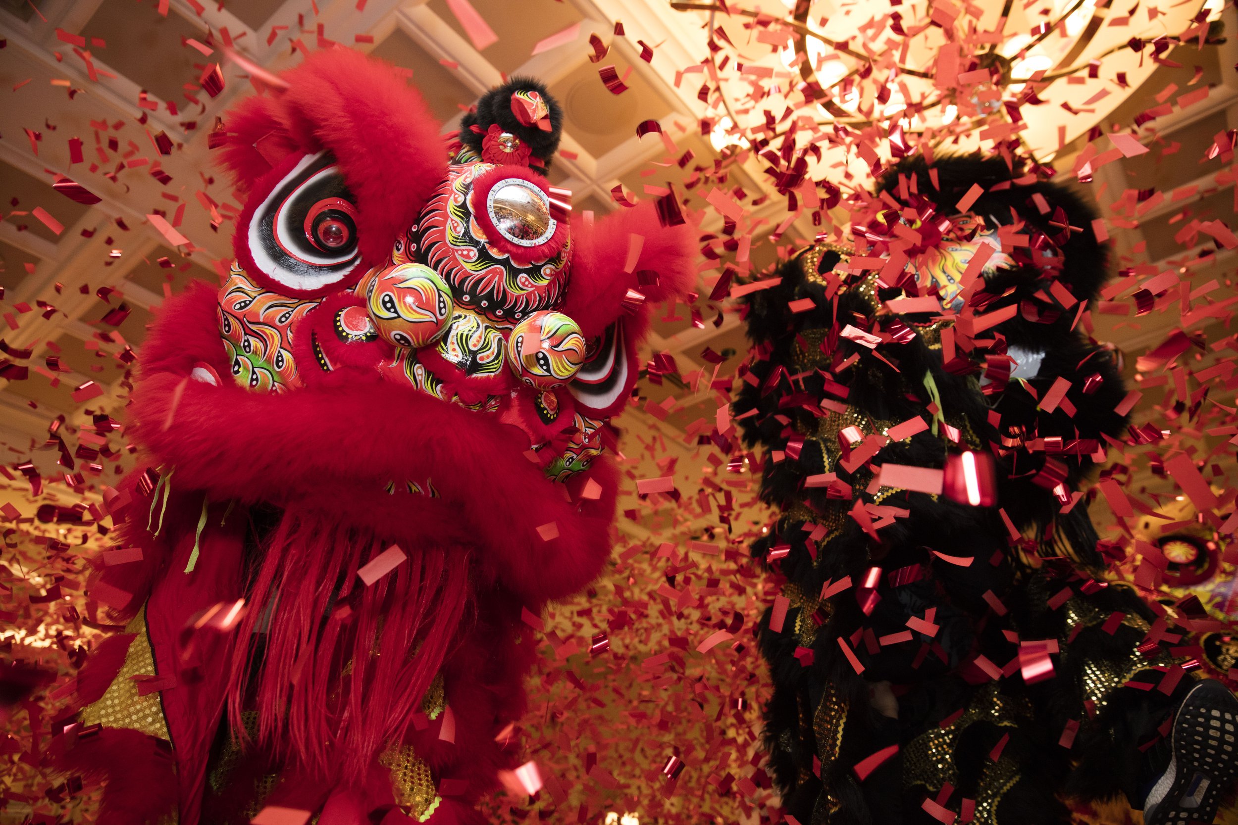 Chinese New Year-105.jpg