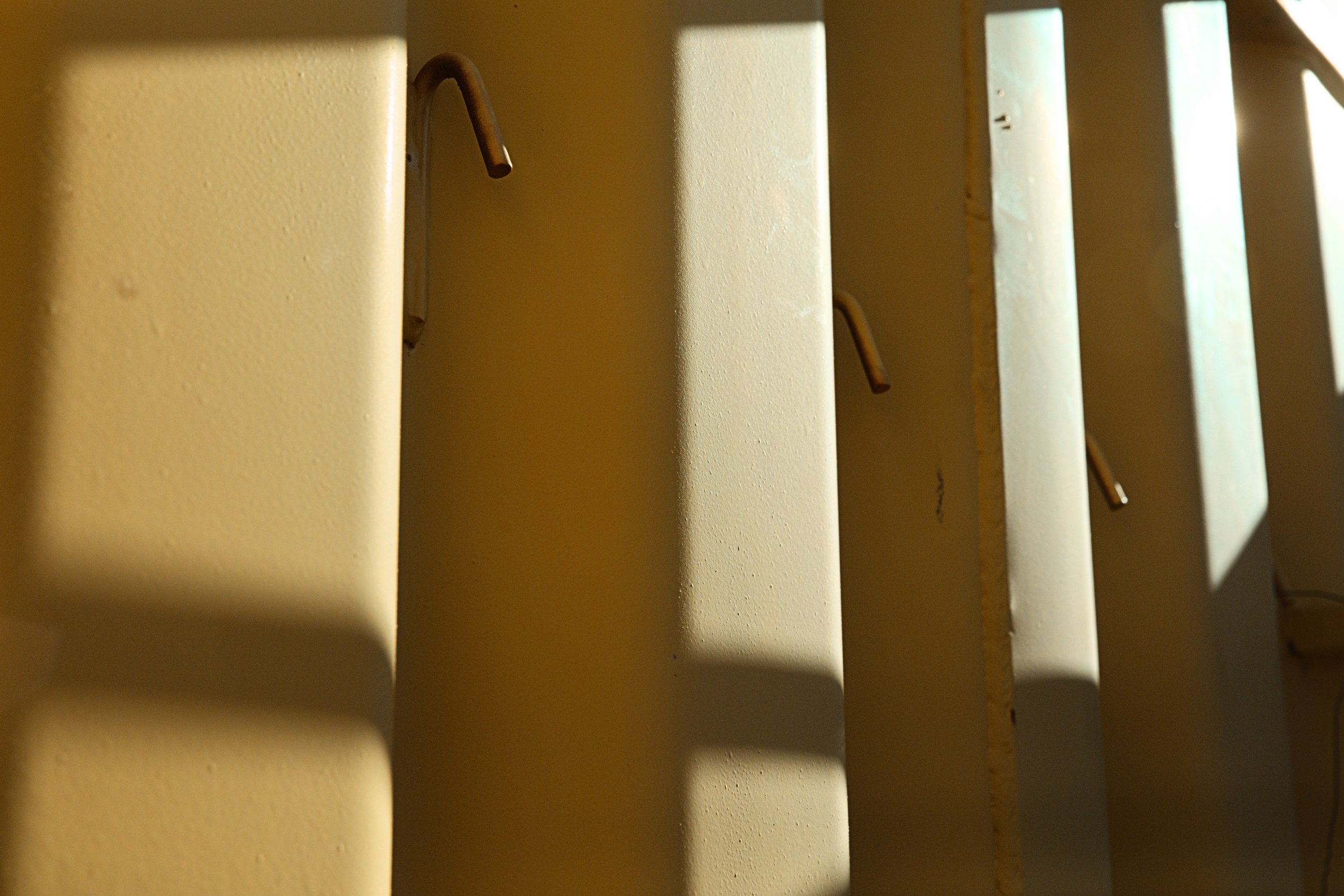 5DSR8424.jpg