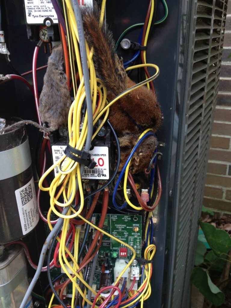 NO AC CALL