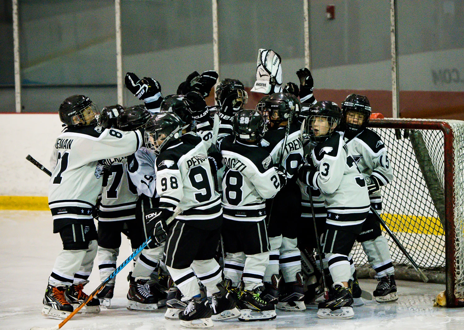 Hockey - Carolina Eagles