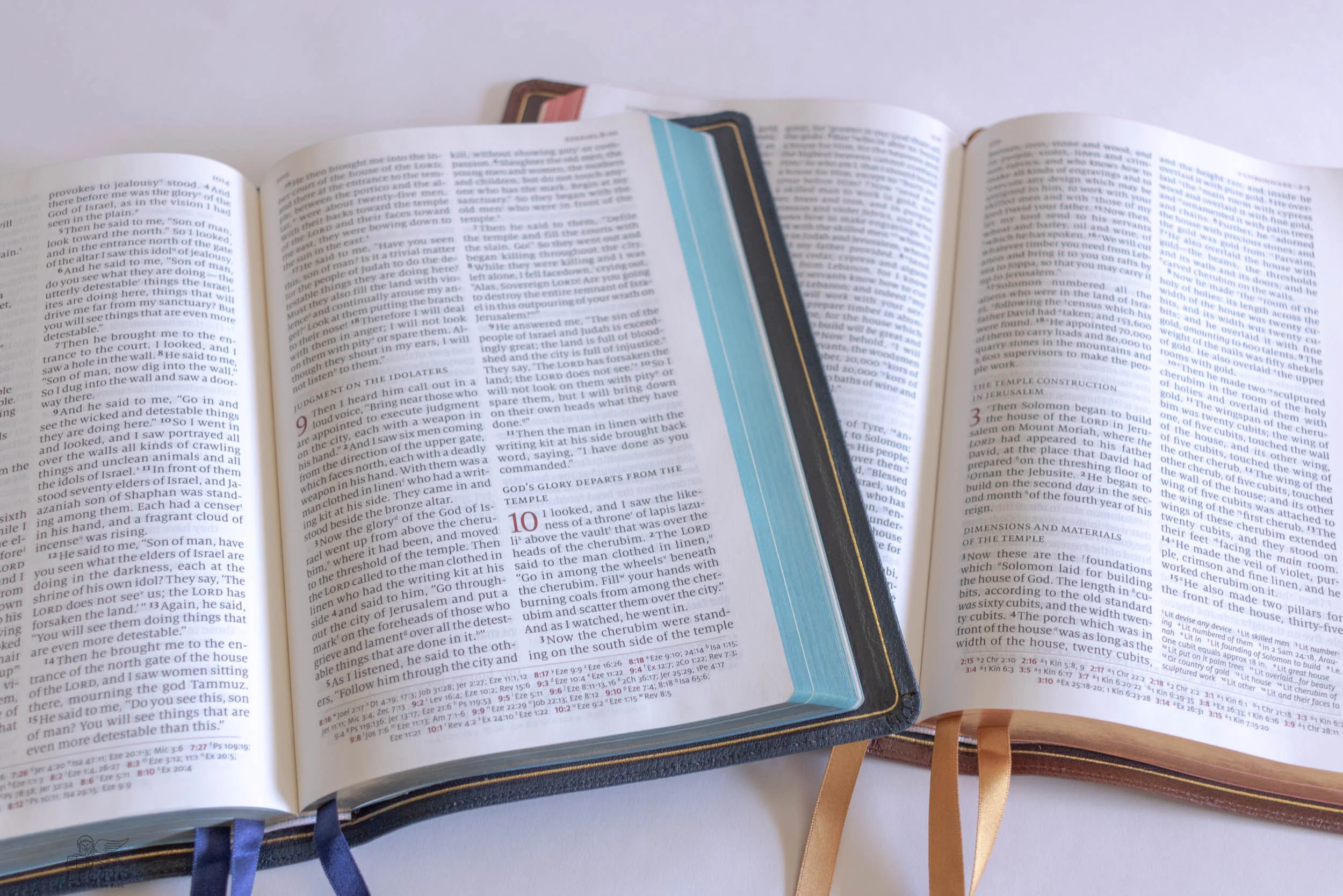 Lectio-4340.jpg