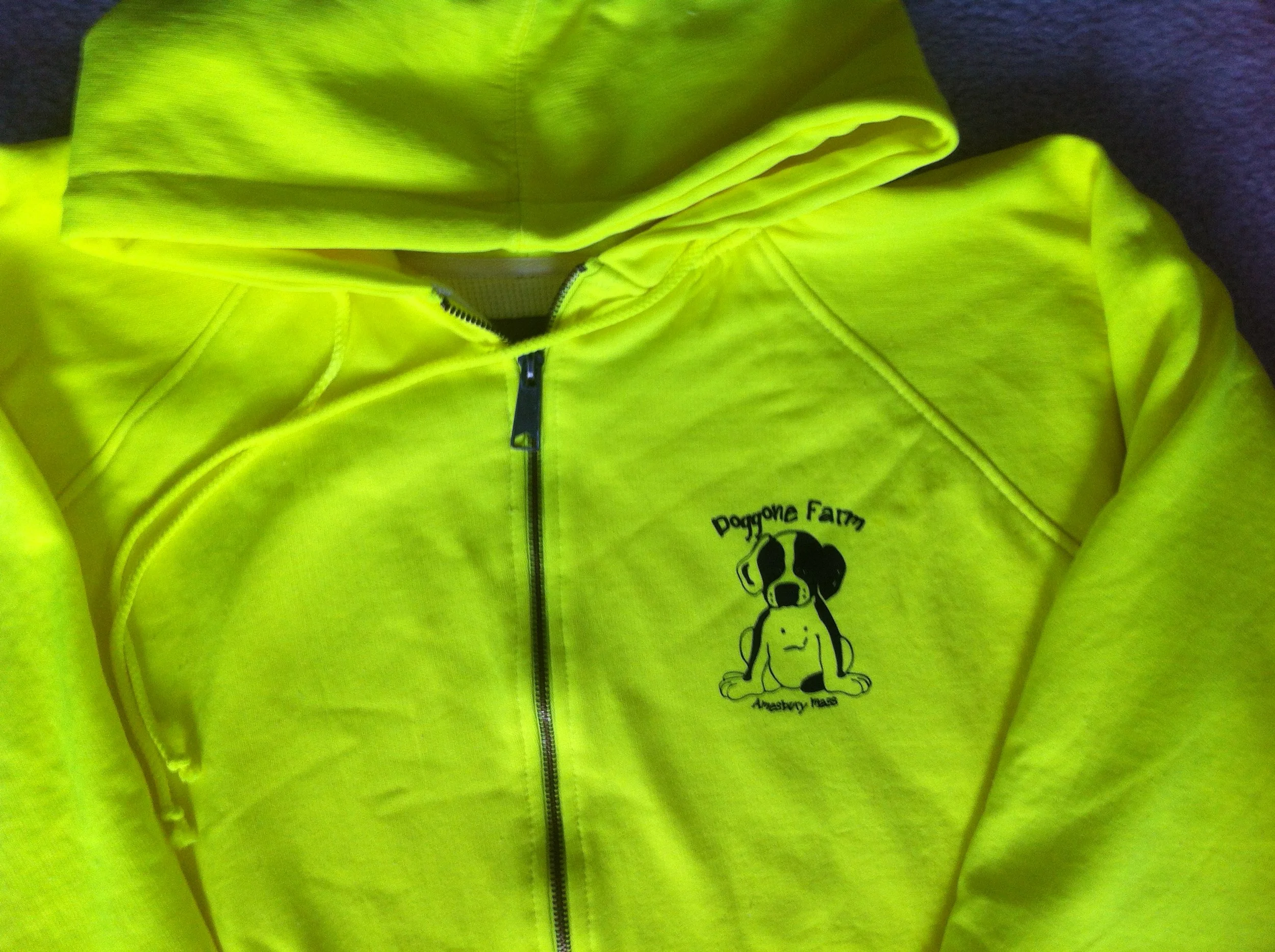 DGF Sweatshirt 2.JPG