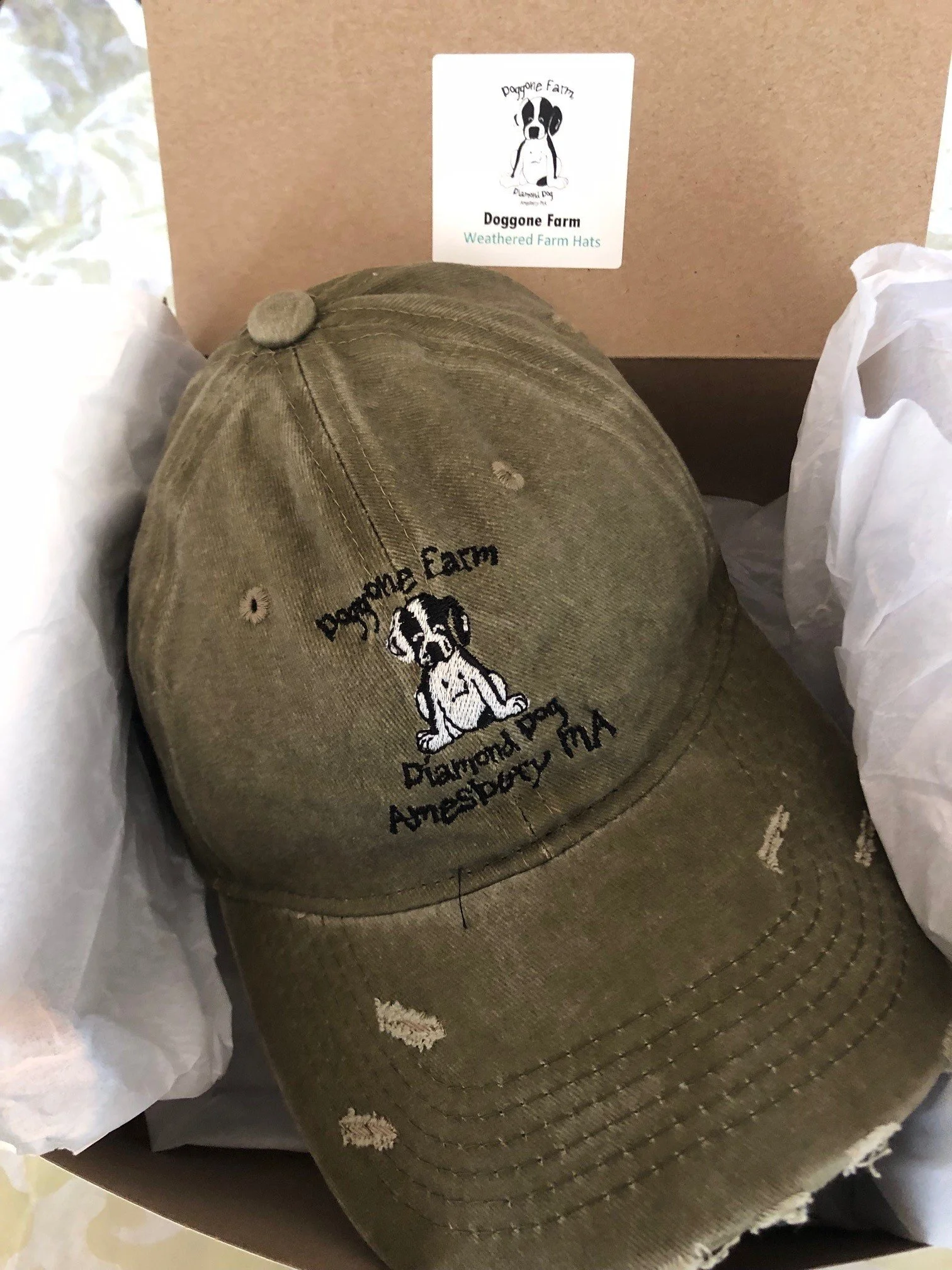 Hat.jpg