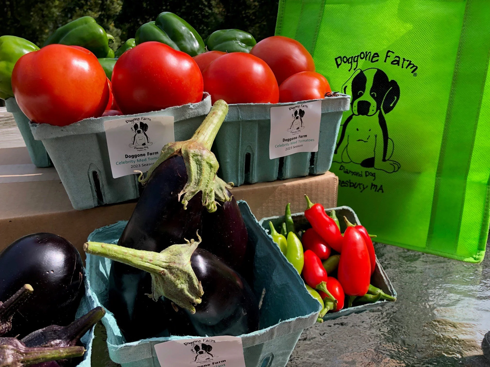 2023 Veg.jpg
