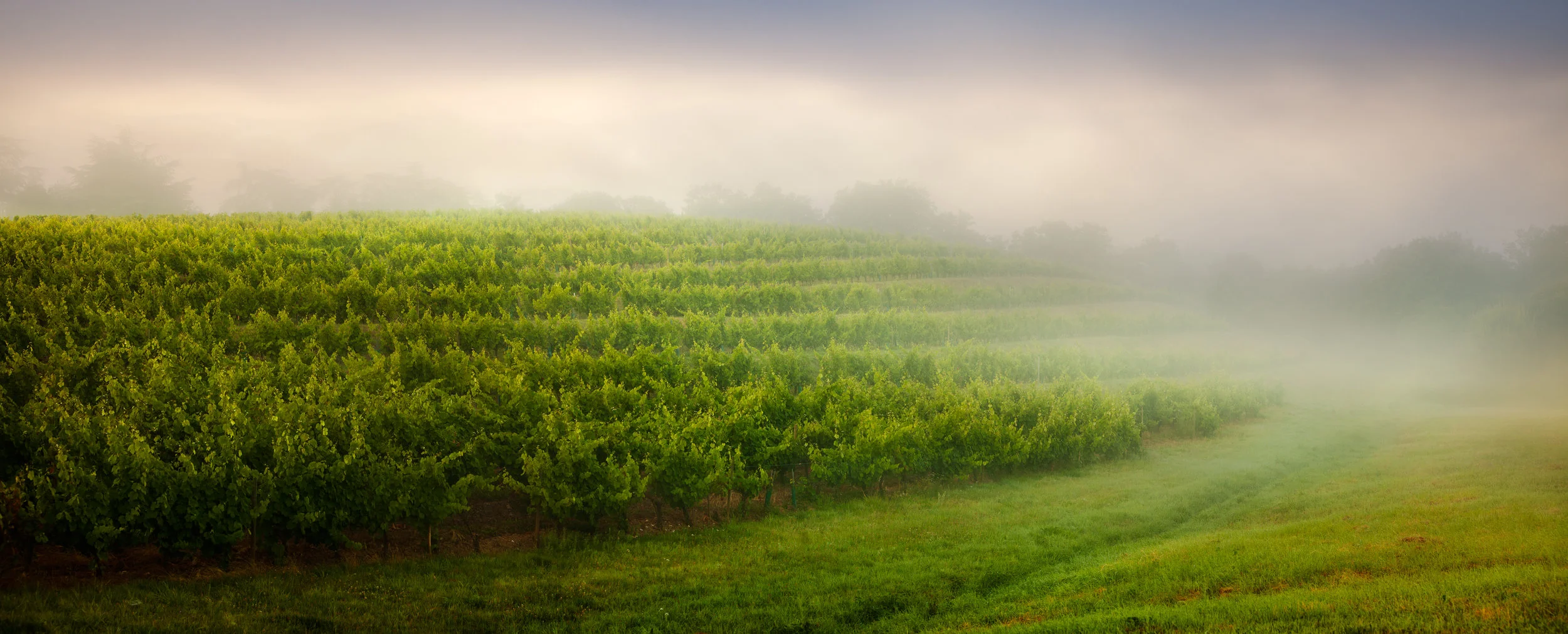 Somewhere in Loire Valley, France
