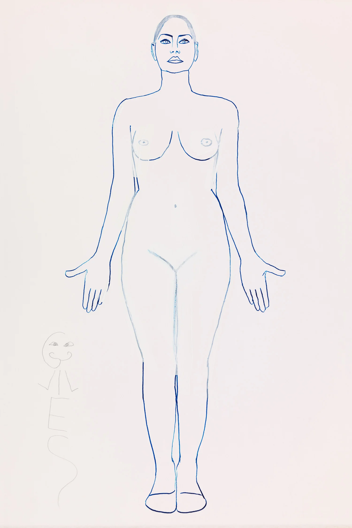 The Anatomical Position, 2013.