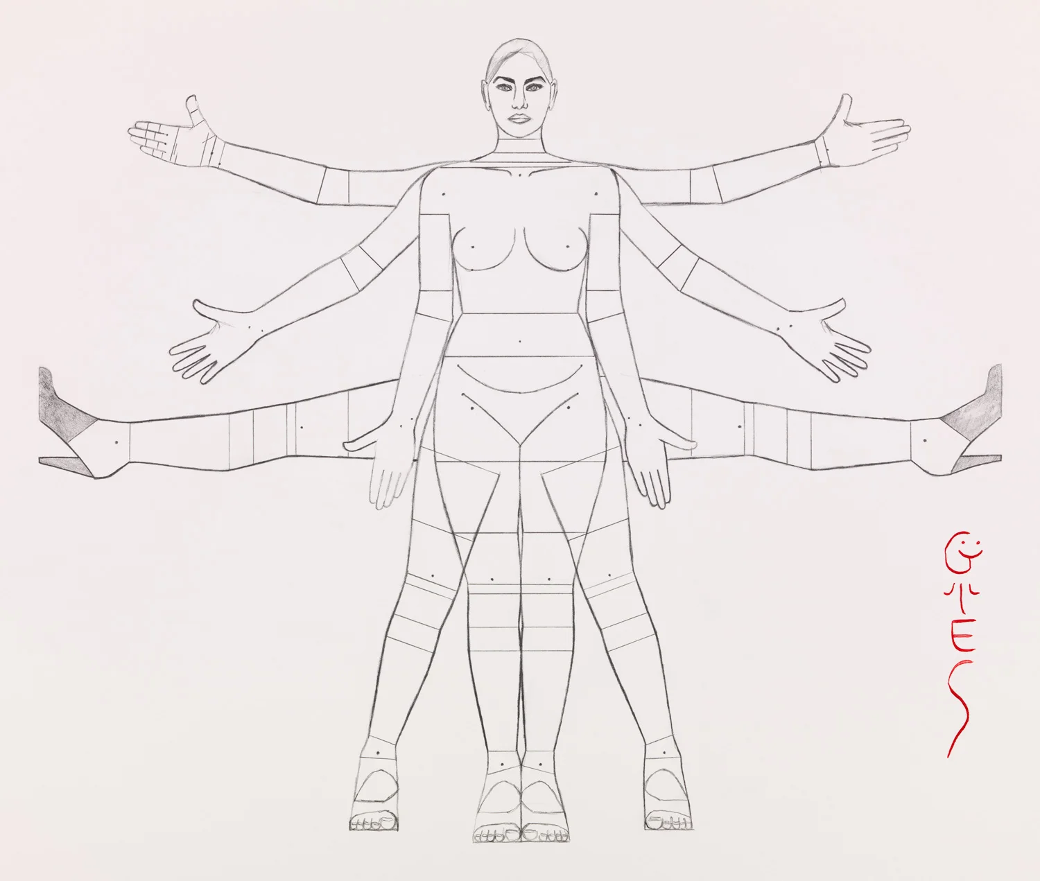 Canon of Proportions (Front), 2013.