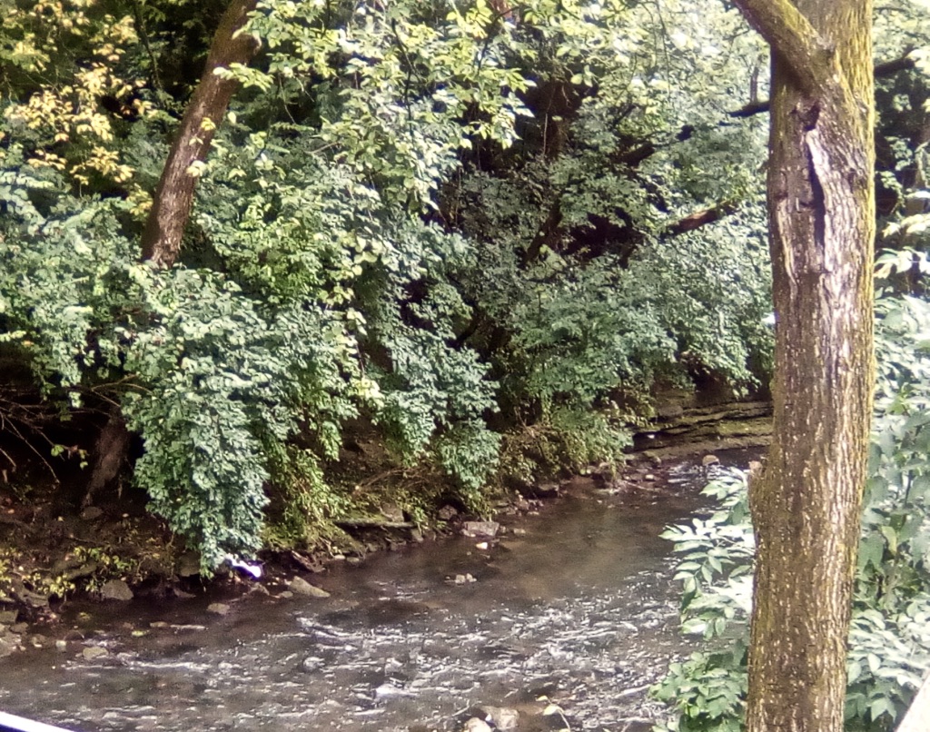 Town Branch flowing by James E. Pepper Distillery, Lexington, KY. Photo Credit: Mike Mayer, August 2018