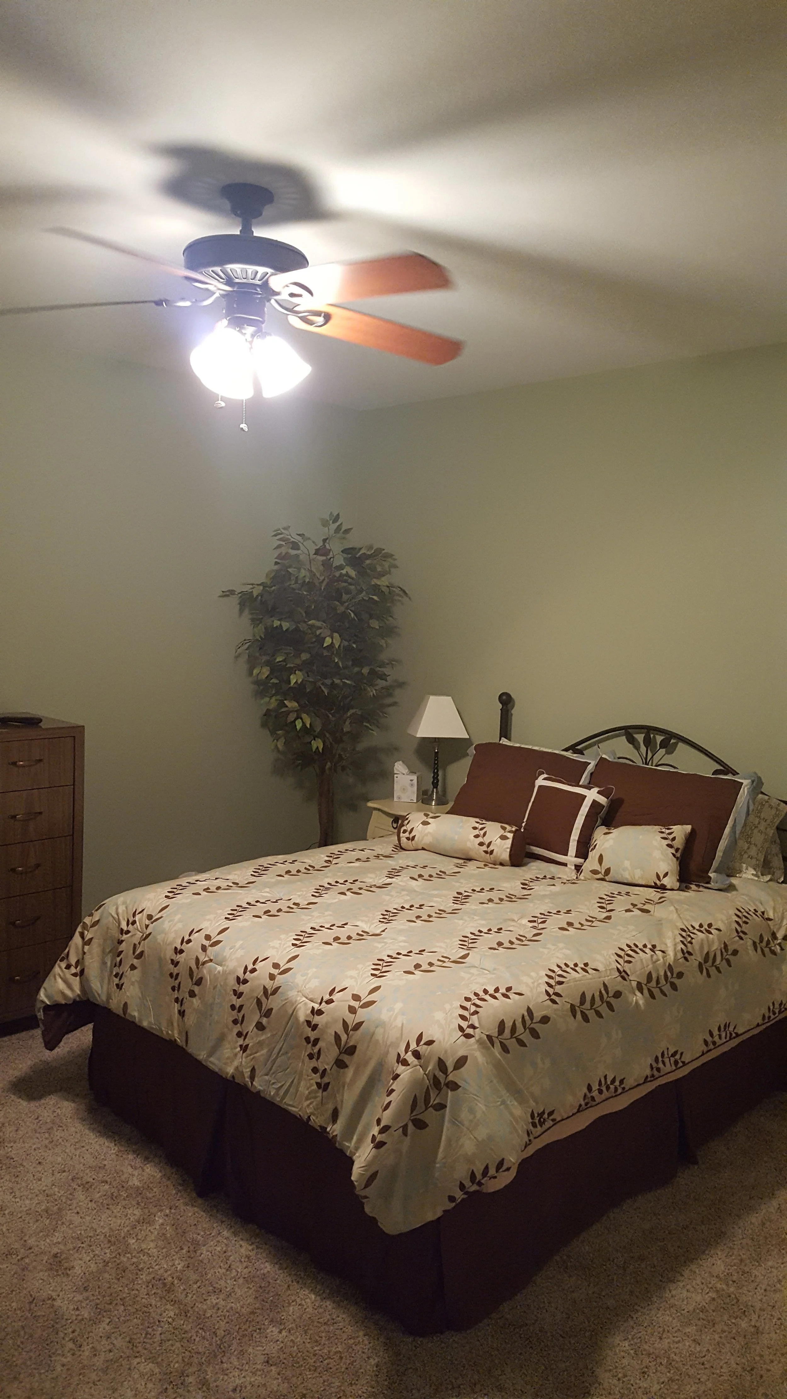 20161108_175516.jpg