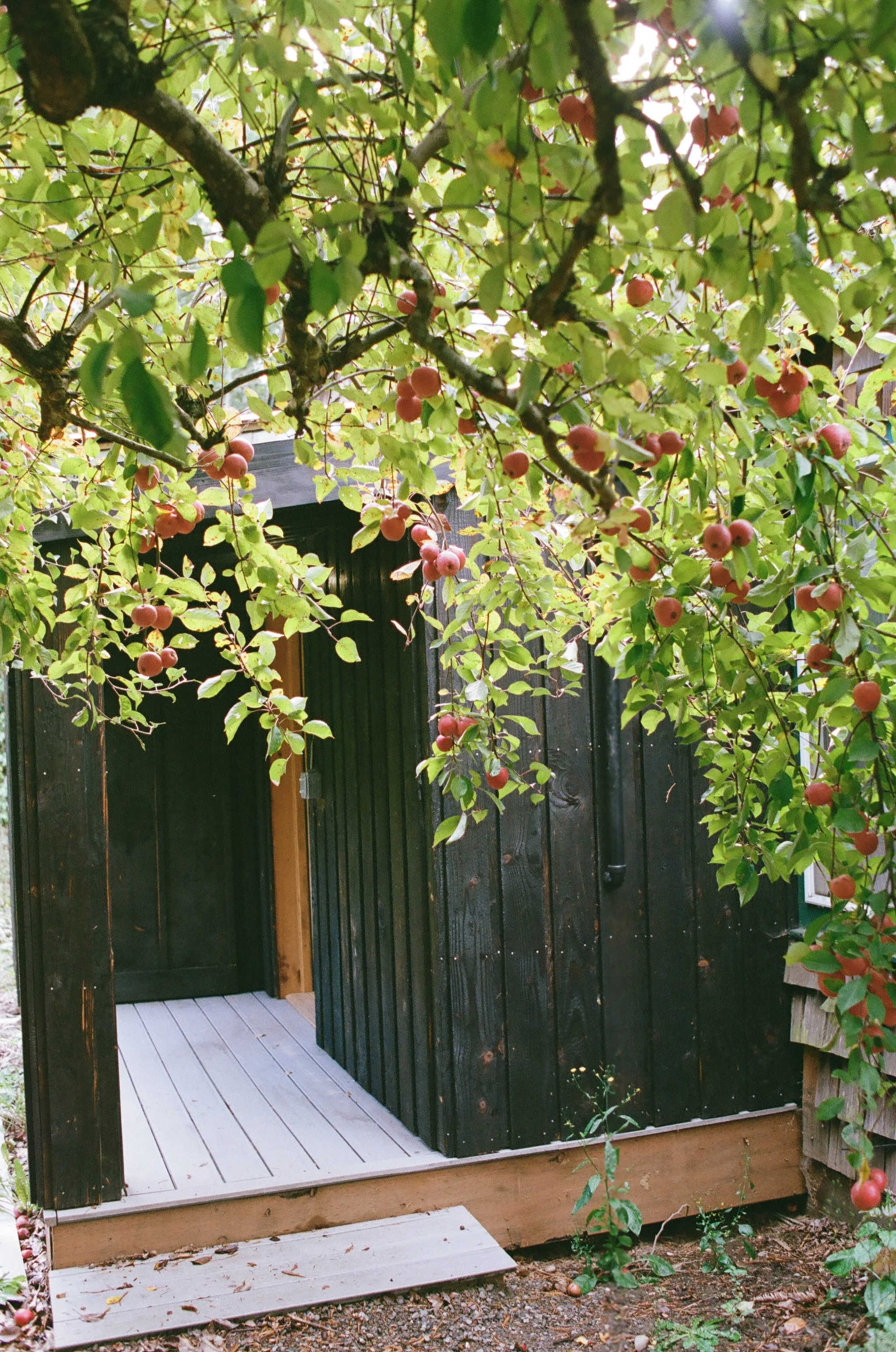 Alison & Walter - Details-39.jpg