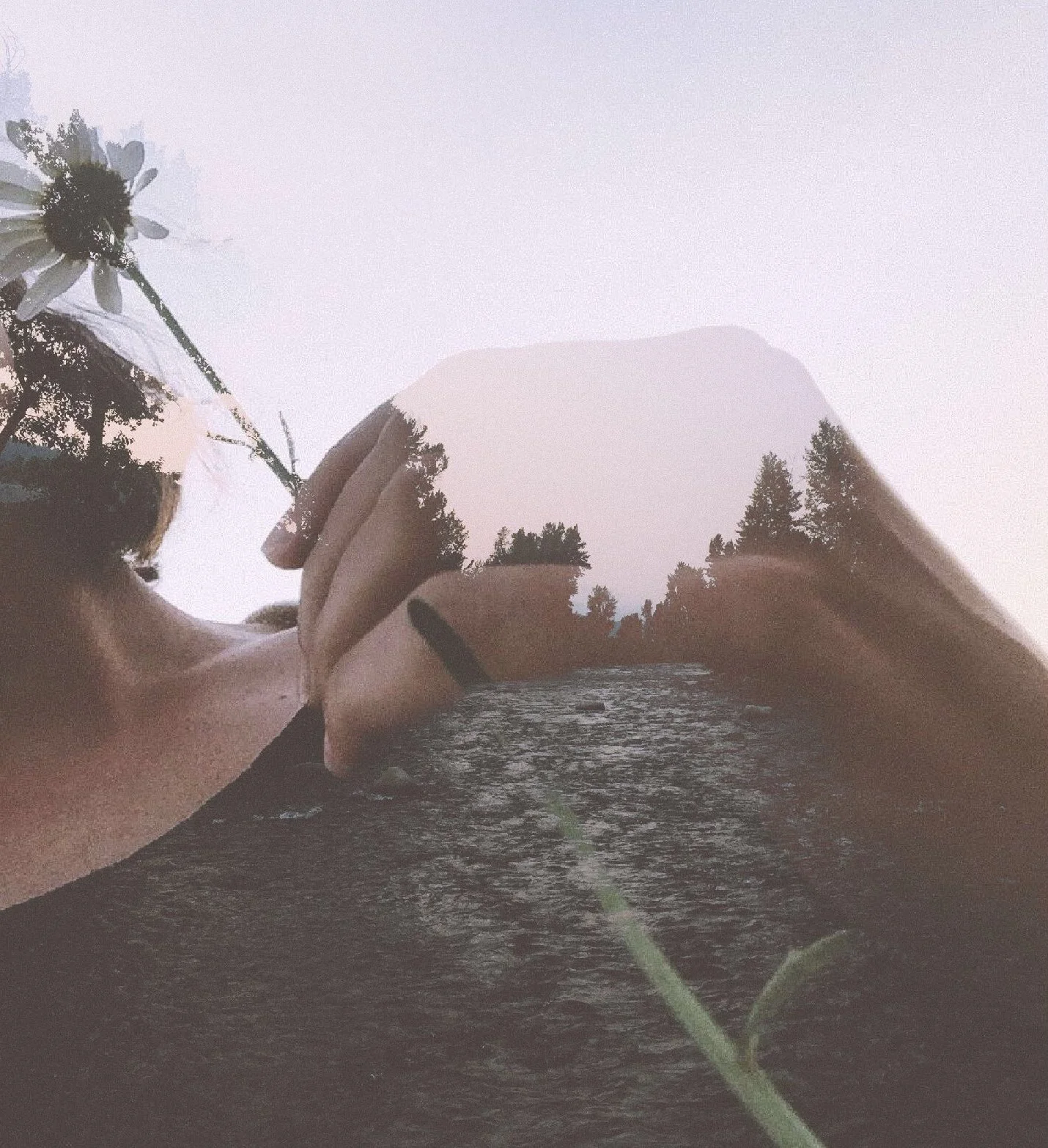 fire in the bitter roots