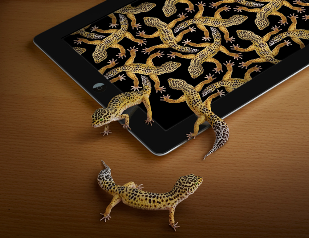 Screen Shot 2015-03-19 at 3.49.26 PM.png