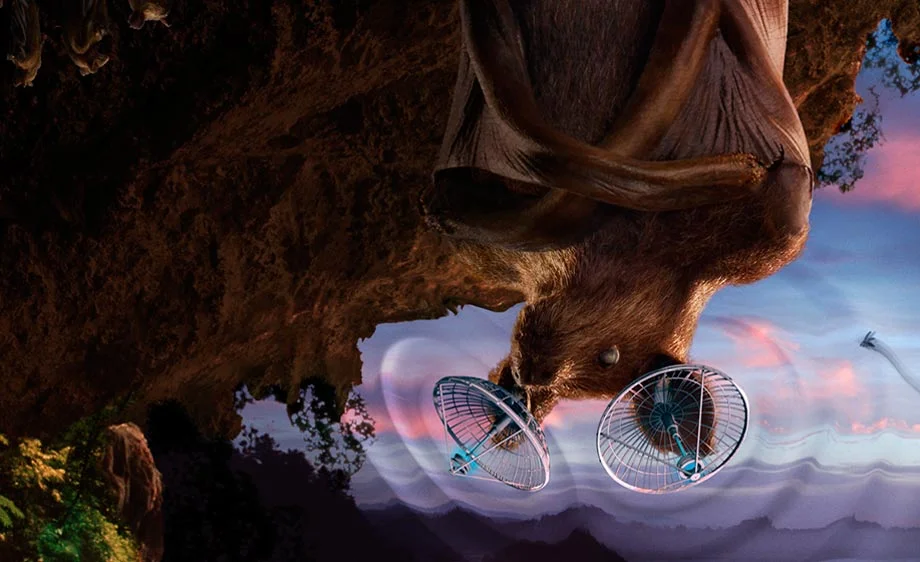Bat-detail.jpg