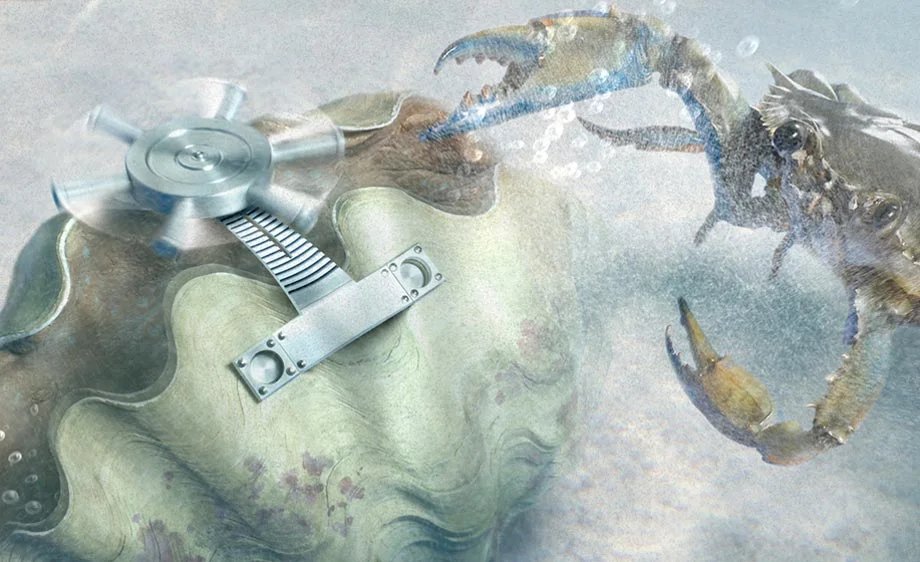 Clam&Crab-detail.jpg