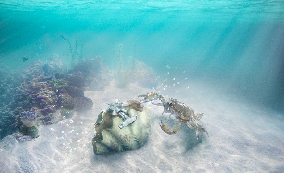 Clam&Crab-WEB.jpg