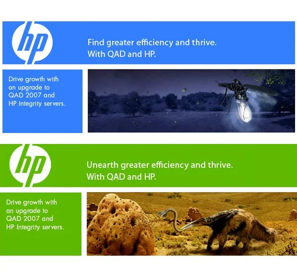 hp.jpg