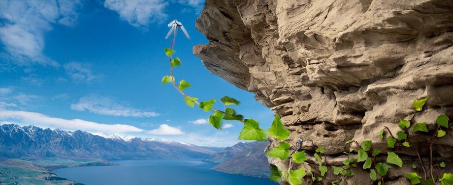 Jumping_Ivy-WEB.jpg
