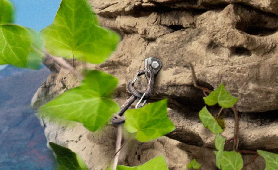 Jumping_Ivy-detail.jpg