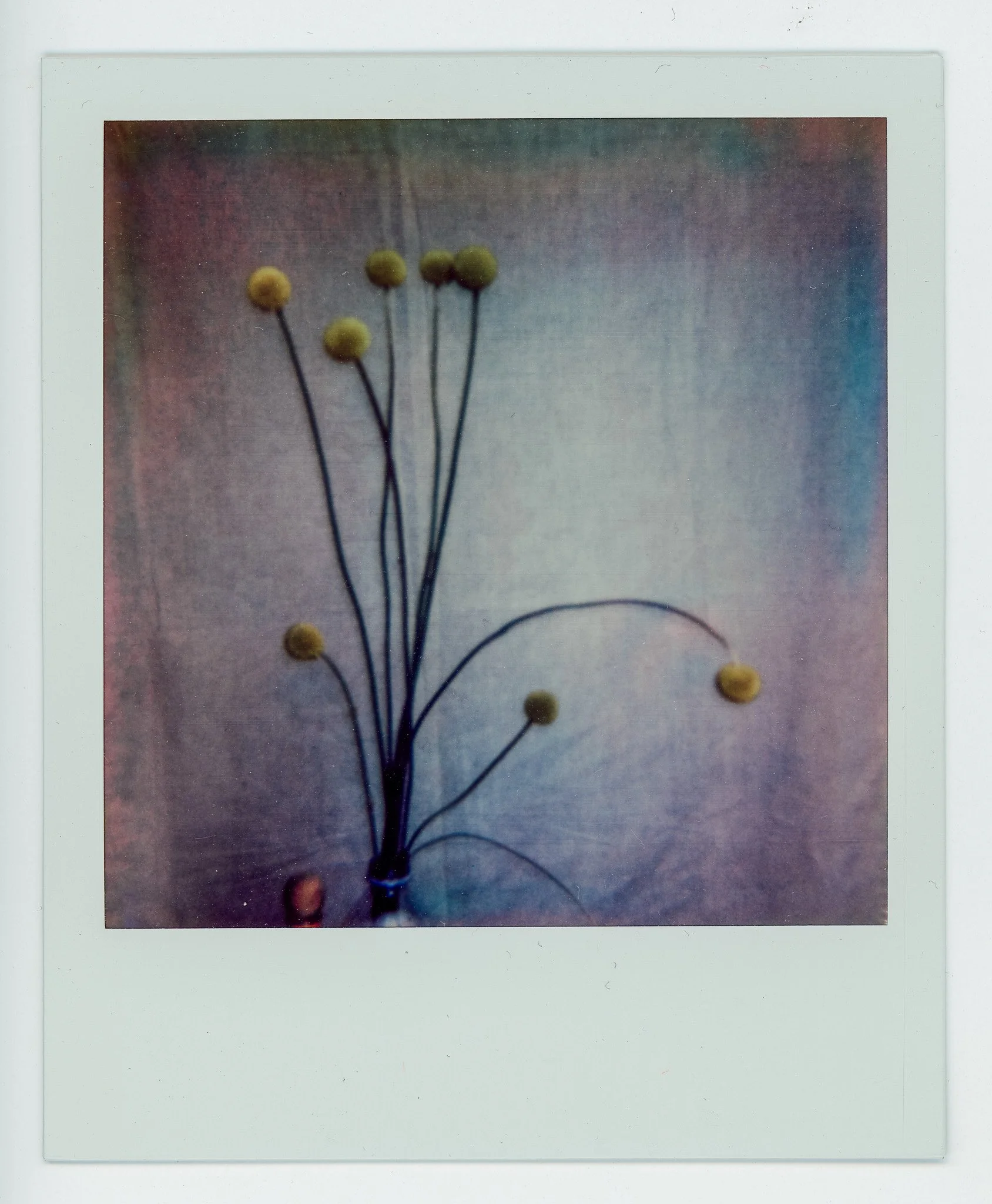 090924_polaroid_0055.jpg