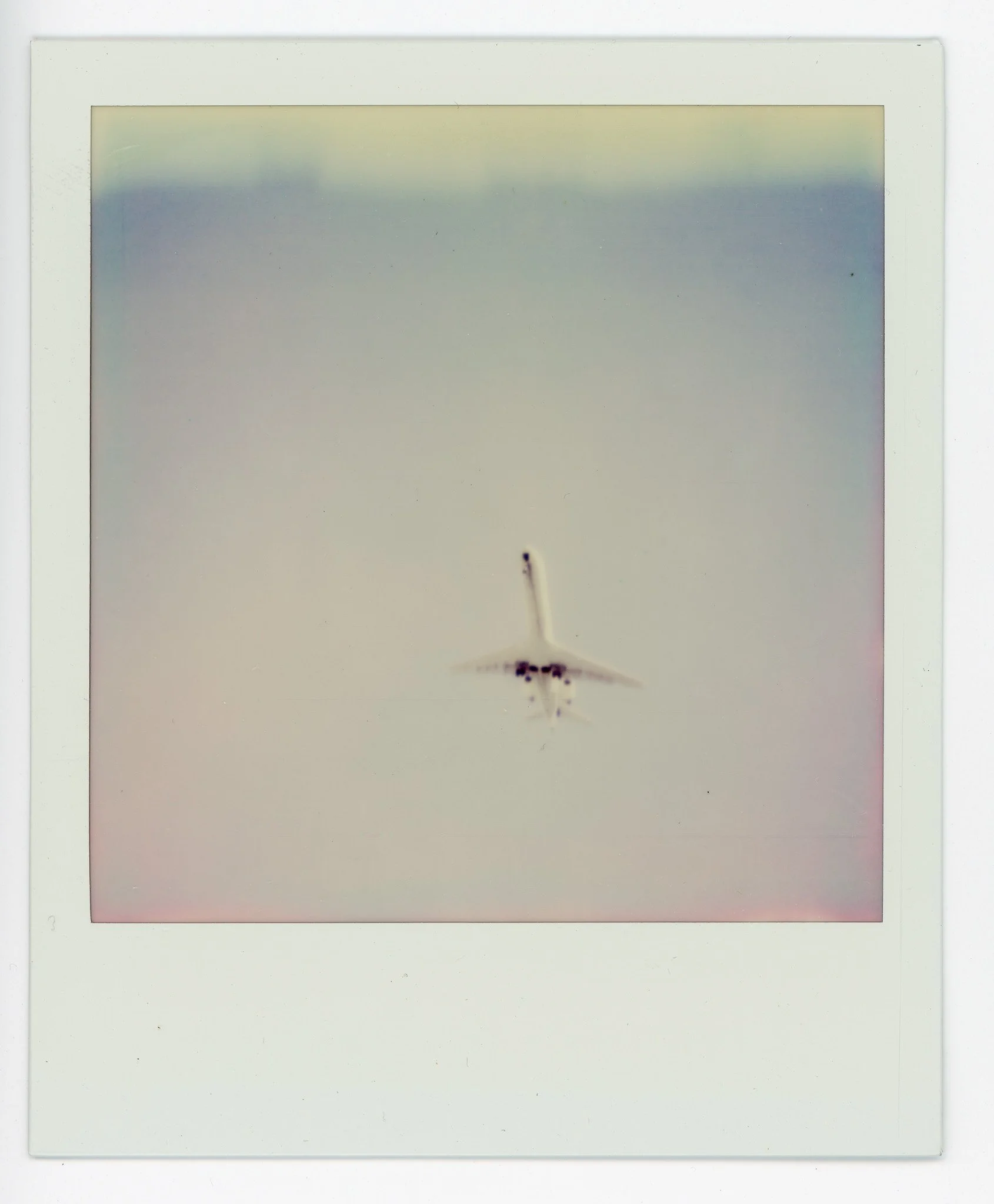 090924_polaroid_0062.jpg