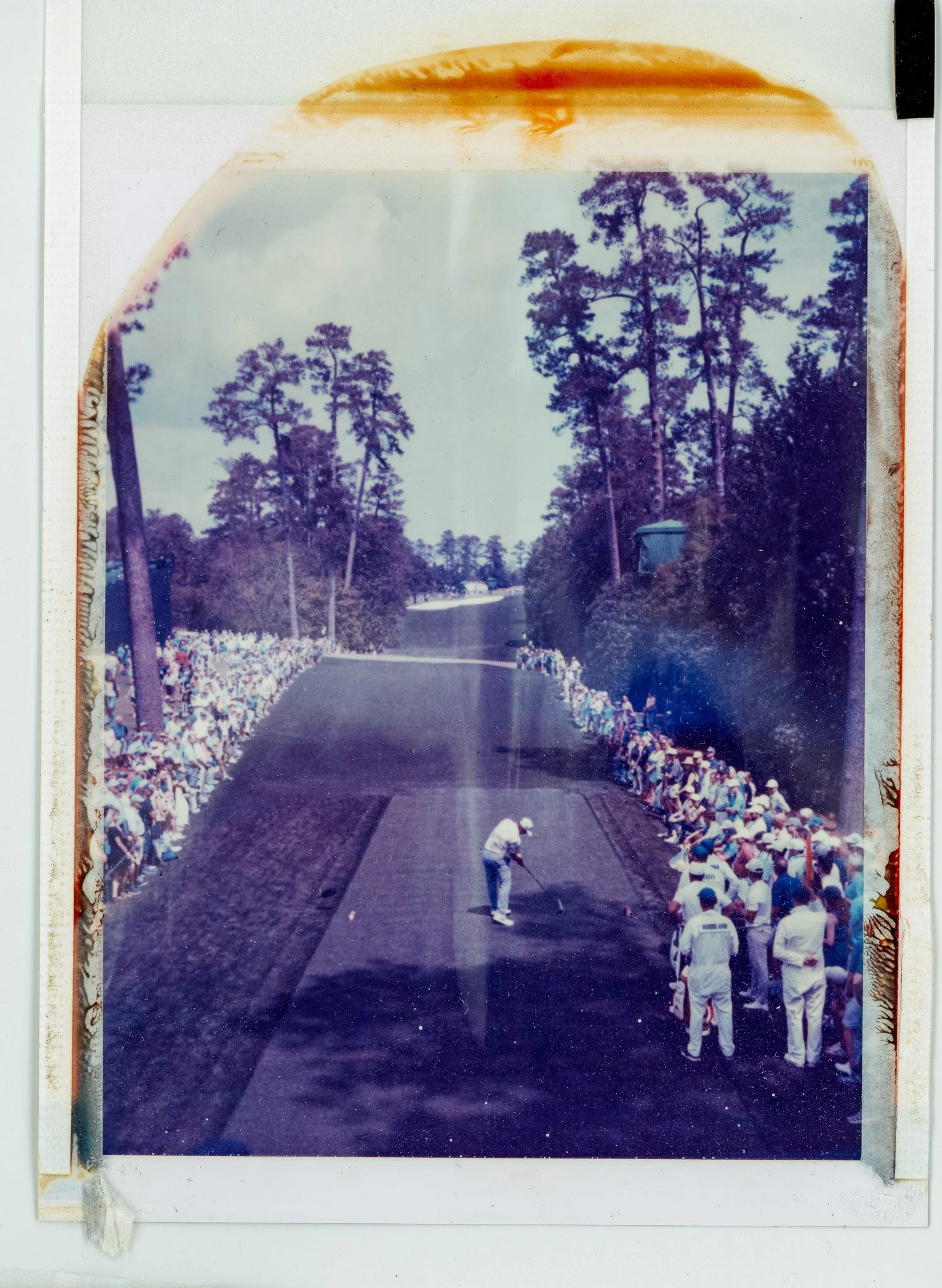 090924_polaroid_0101.jpg