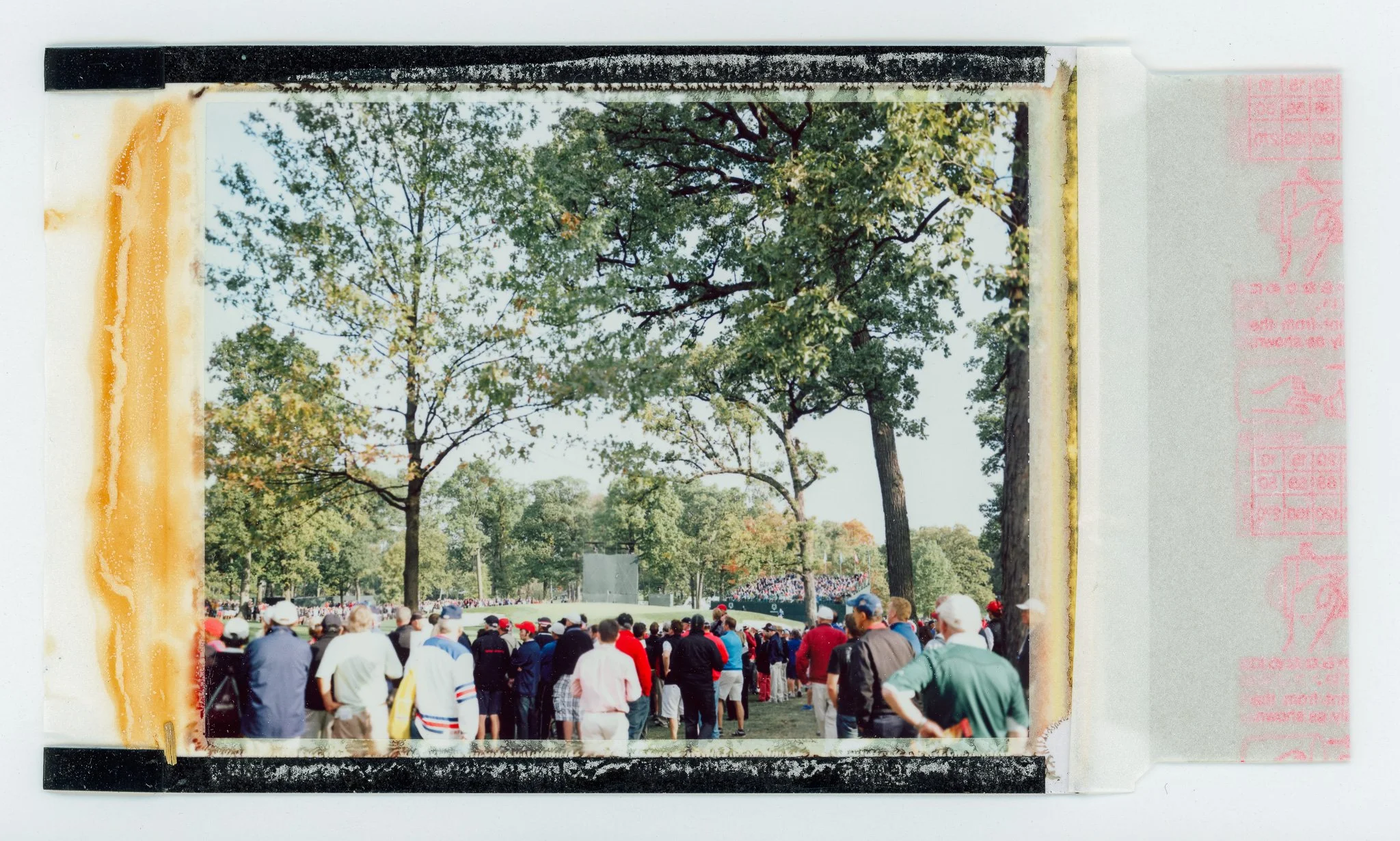 090924_polaroid_0106.jpg