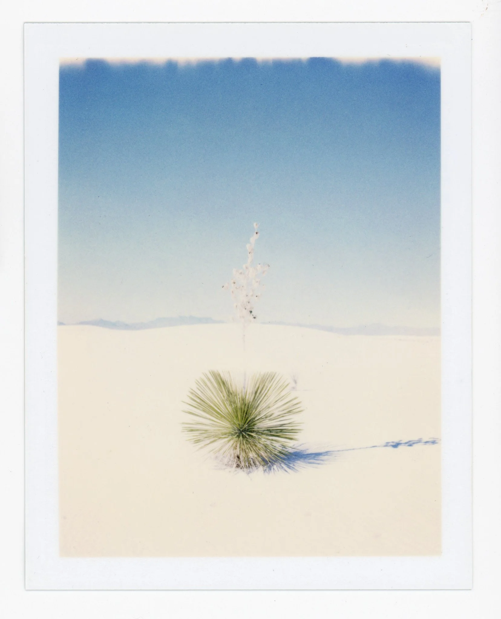 090924_polaroid_0115.jpg