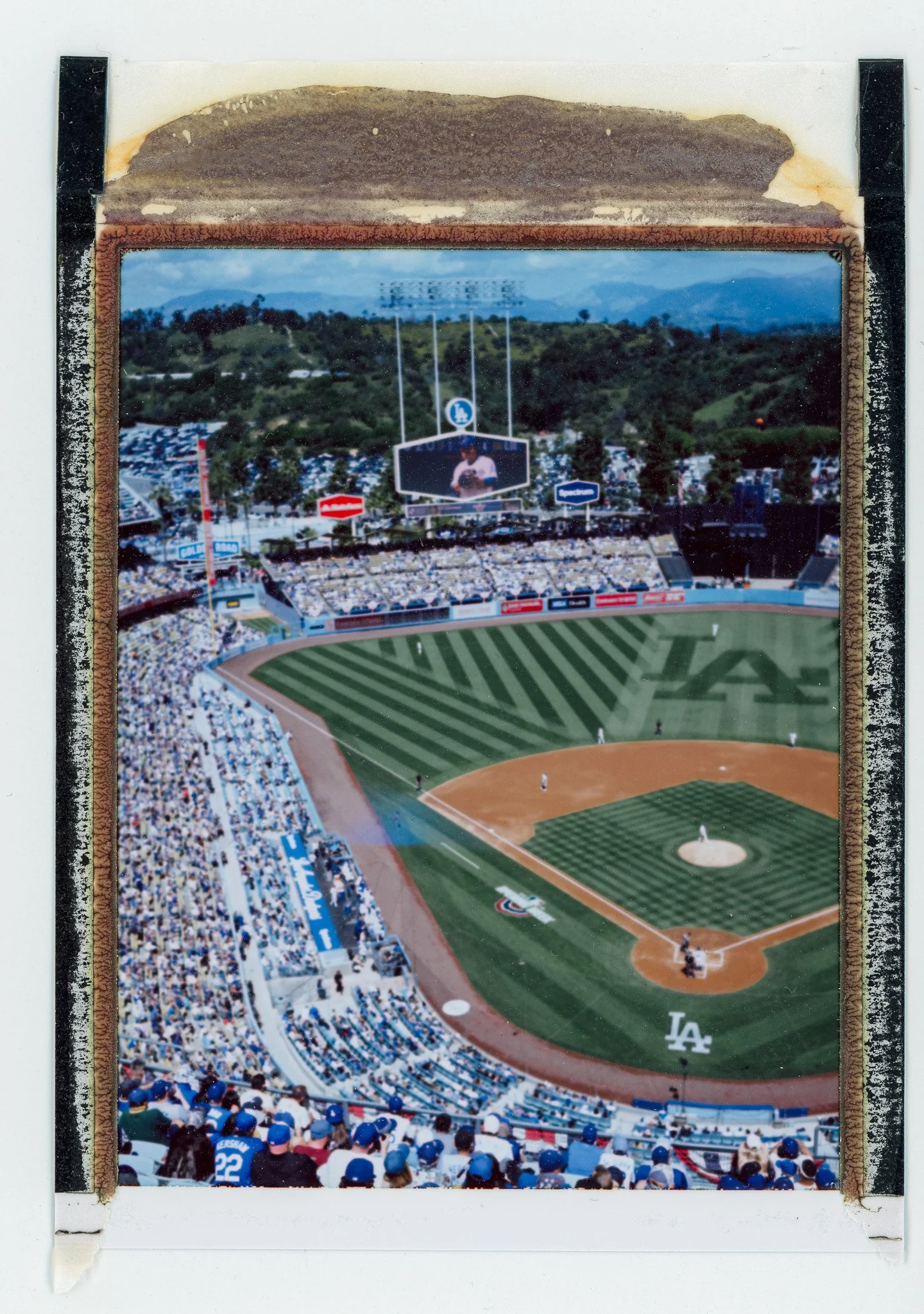 090924_polaroid_0126.jpg