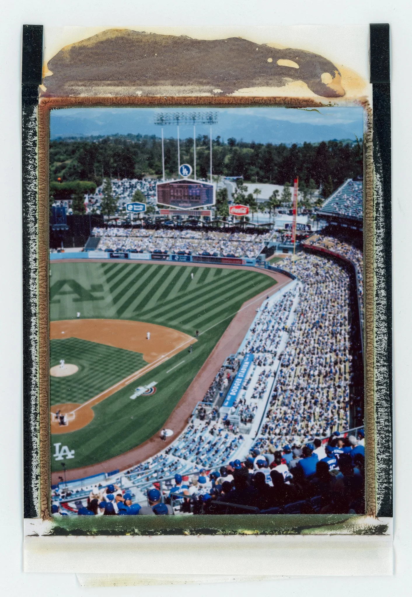 090924_polaroid_0127.jpg