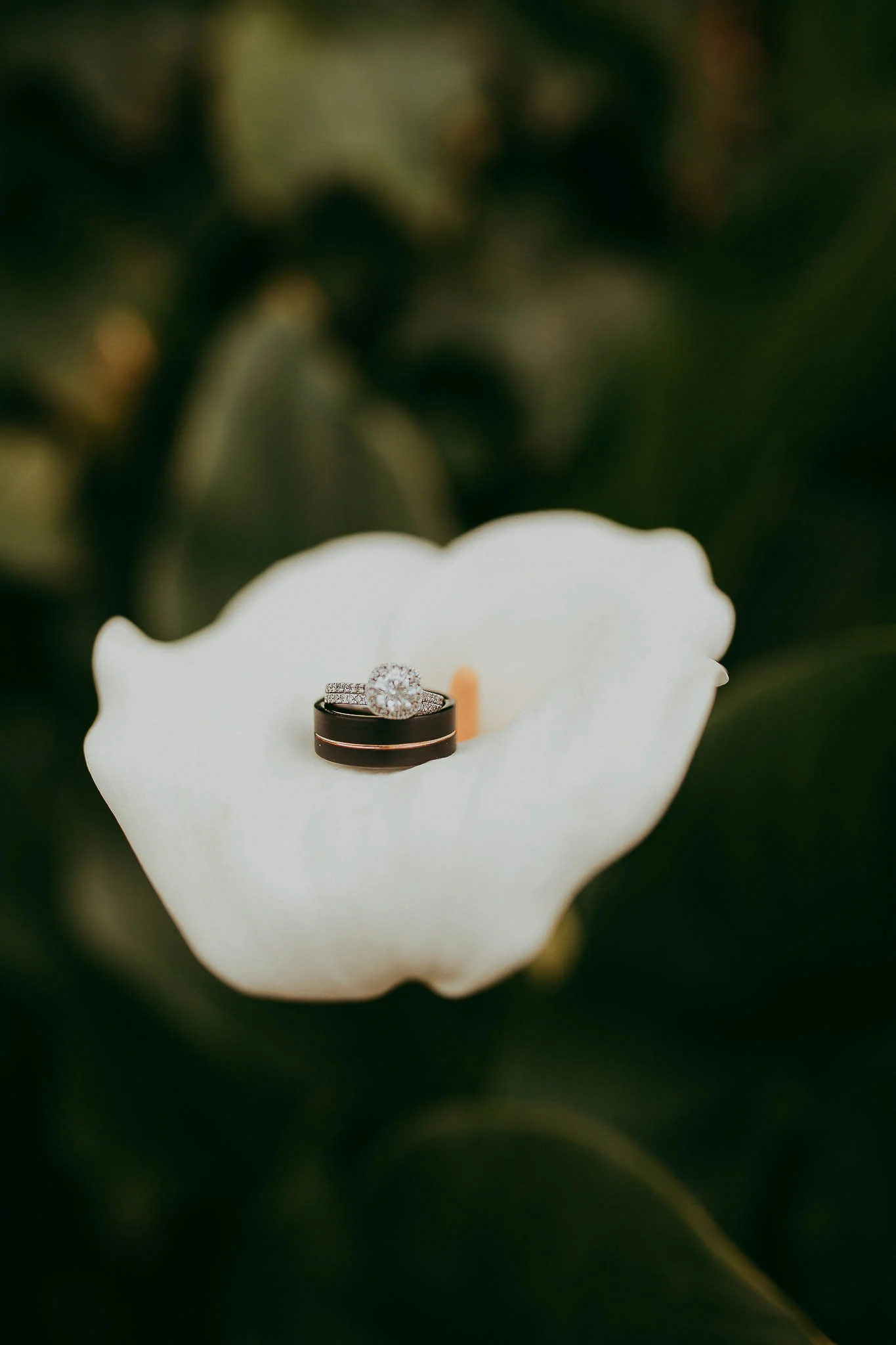 engage-wed 2019dcp (6 of 63).jpg