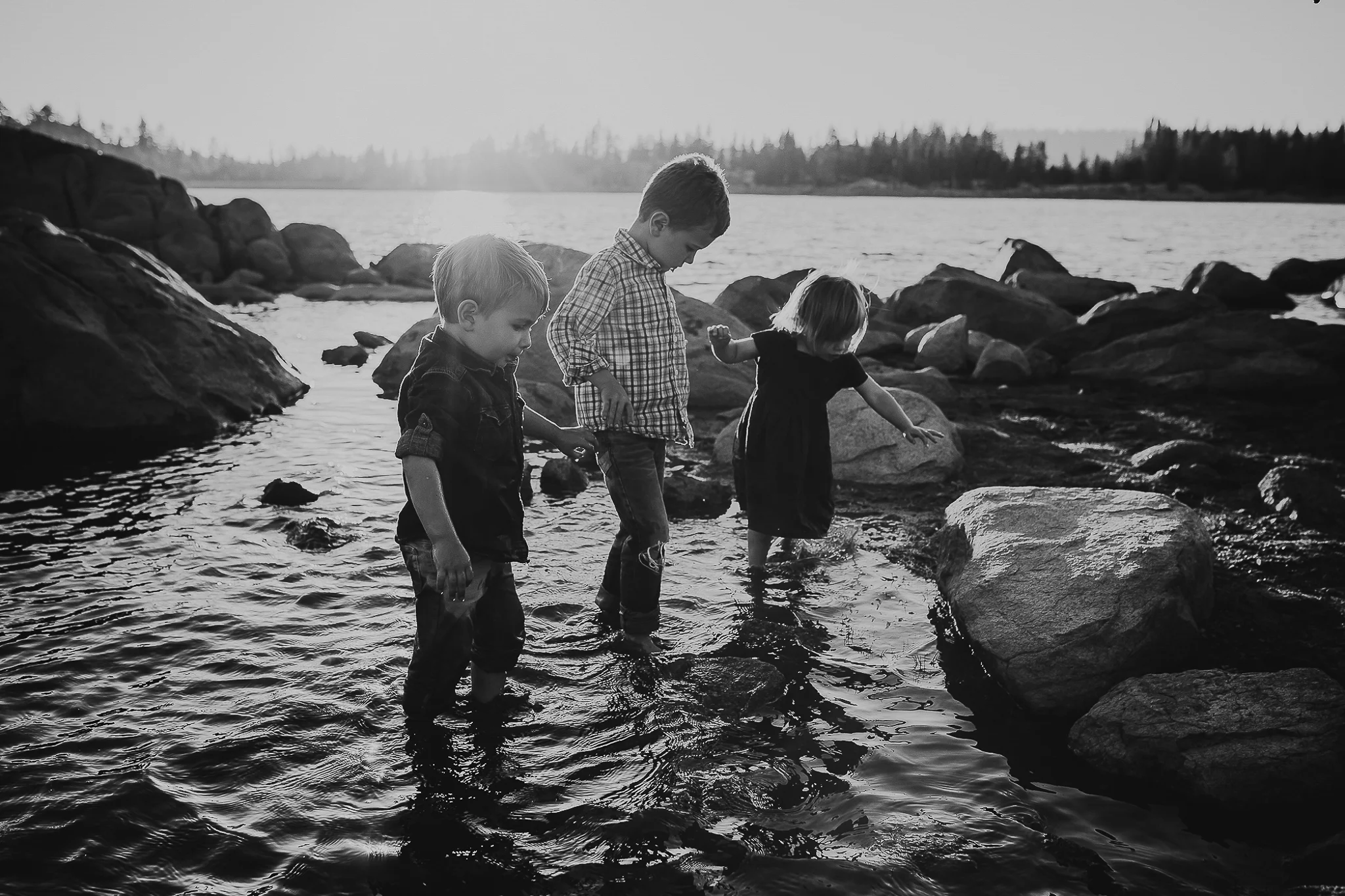 family 2019dcp (24 of 74).jpg