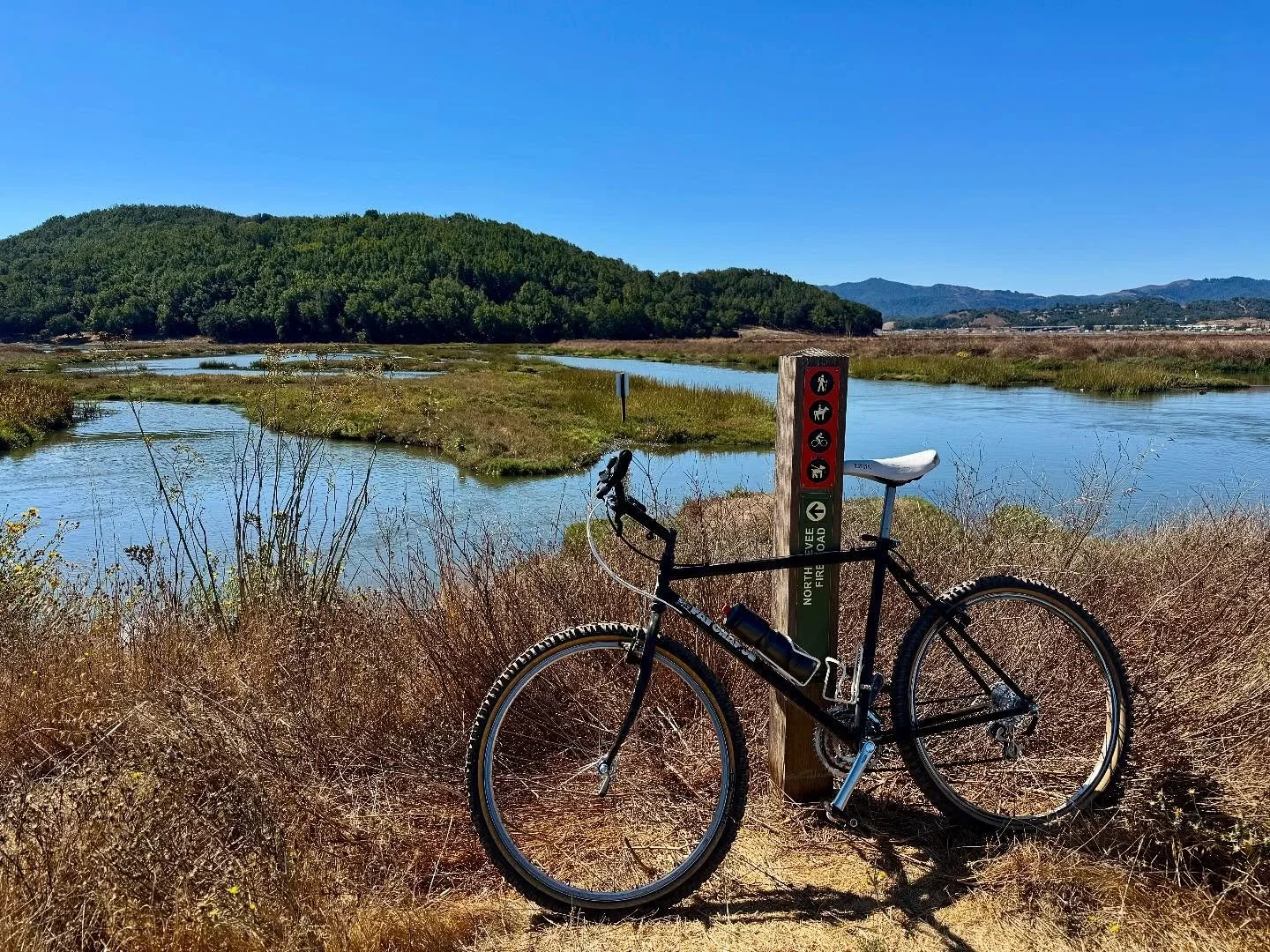 One of my happy places.

#marshland #bikeride #marincounty #rarerecords