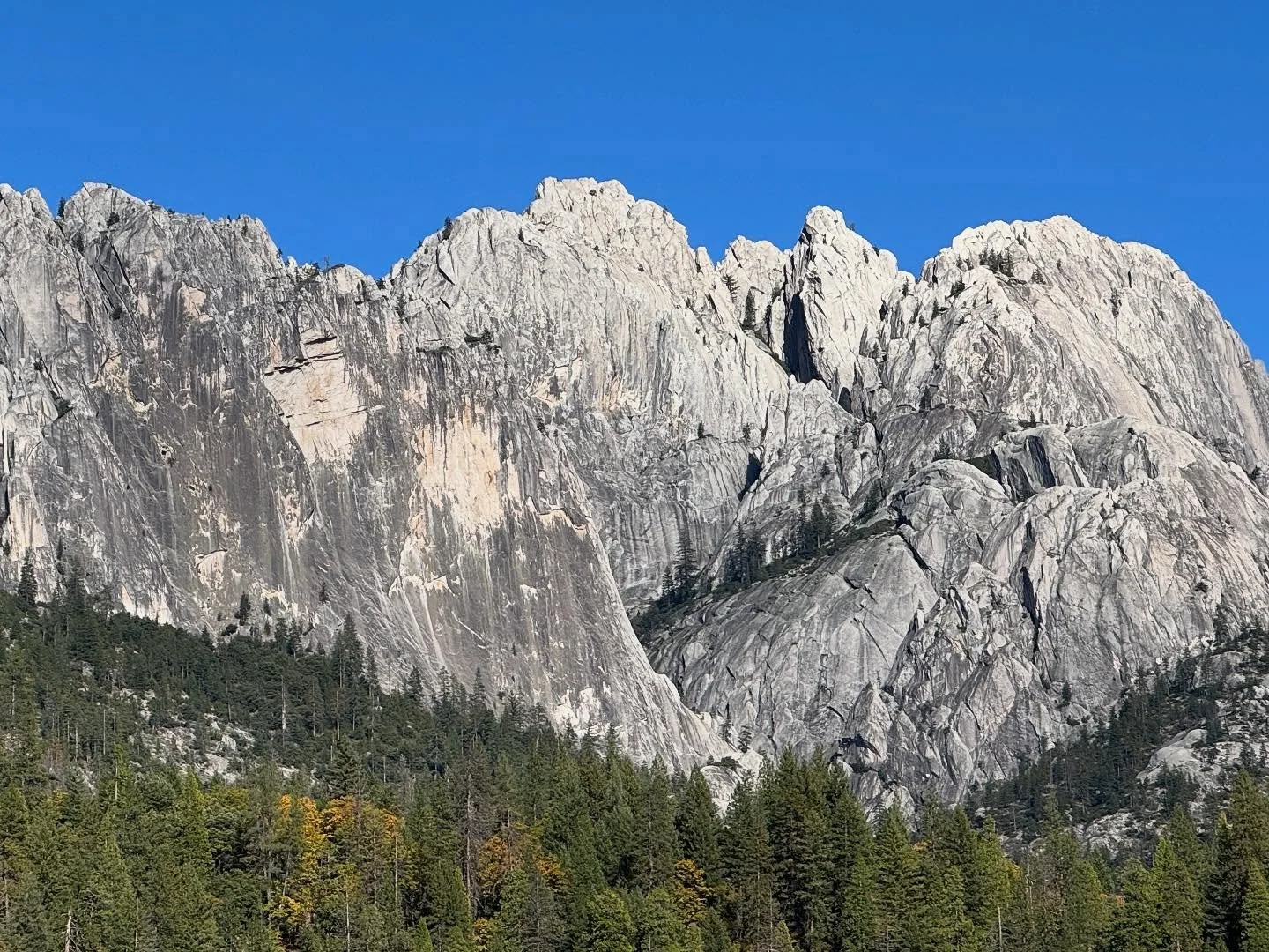A heads up the store is closed today and tomorrow, we are on a short vacation to the Mt. Shasta area. This is Castle Crags State Park. Still some fall colors. Magical forests and superb views too. Be back open on Thursday!

#castlecrags #castlecragss